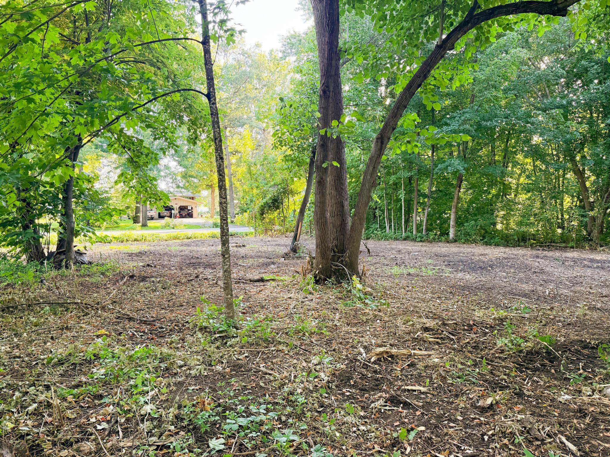 View of Land at TBD White Cloud Drive, Isle MN 56342, Isle (10 of 16) - Mike Wilen | Minnesota Team Real Estate
