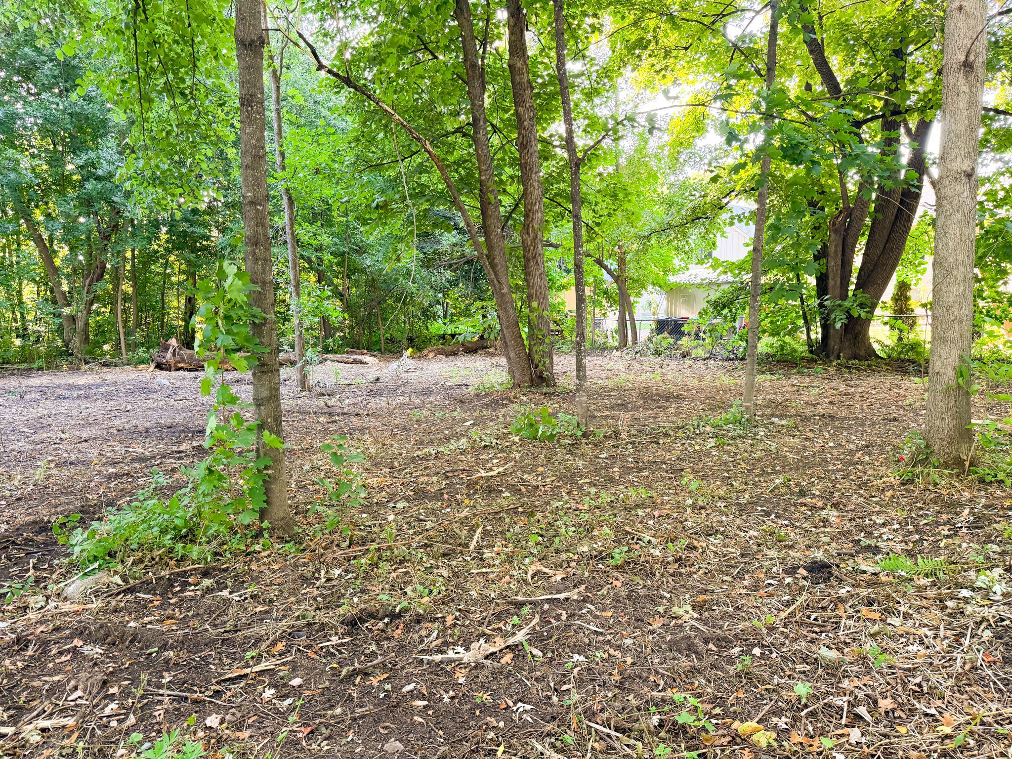 View of Land at TBD White Cloud Drive, Isle MN 56342, Isle (9 of 16) - Mike Wilen | Minnesota Team Real Estate