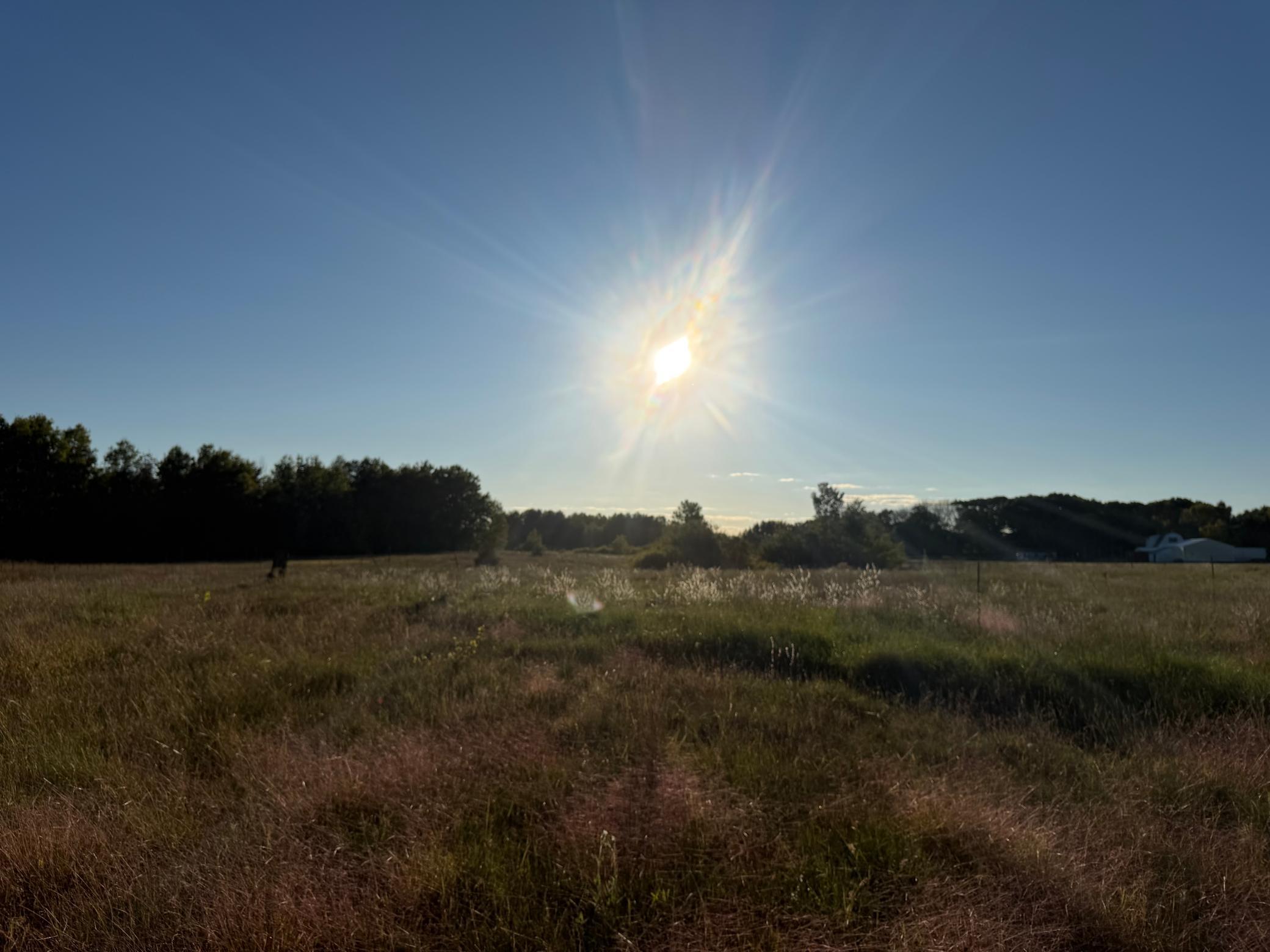 View of Residential at 5602 285th Avenue, Isanti MN 55040, Isanti (18 of 41) - Mike Wilen | Minnesota Team Real Estate