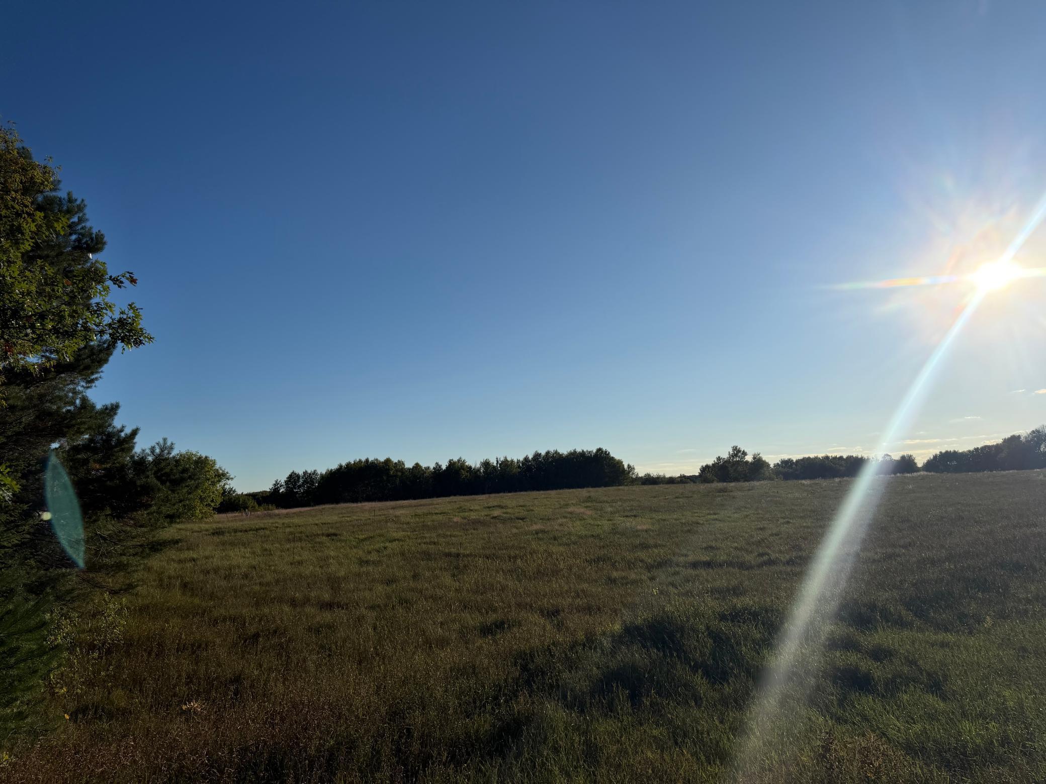 View of Residential at 5602 285th Avenue, Isanti MN 55040, Isanti (17 of 41) - Mike Wilen | Minnesota Team Real Estate