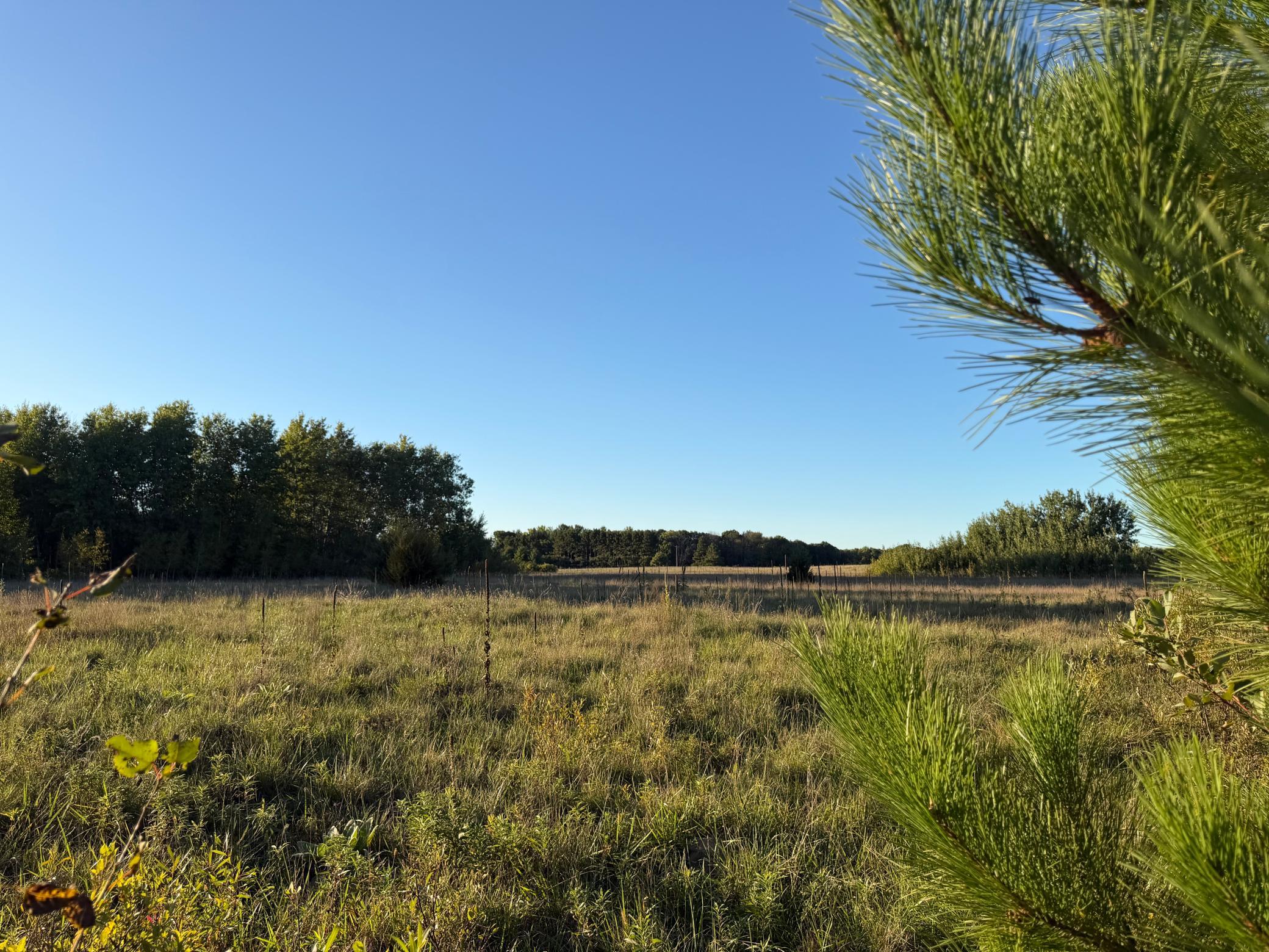 View of Residential at 5602 285th Avenue, Isanti MN 55040, Isanti (8 of 41) - Mike Wilen | Minnesota Team Real Estate