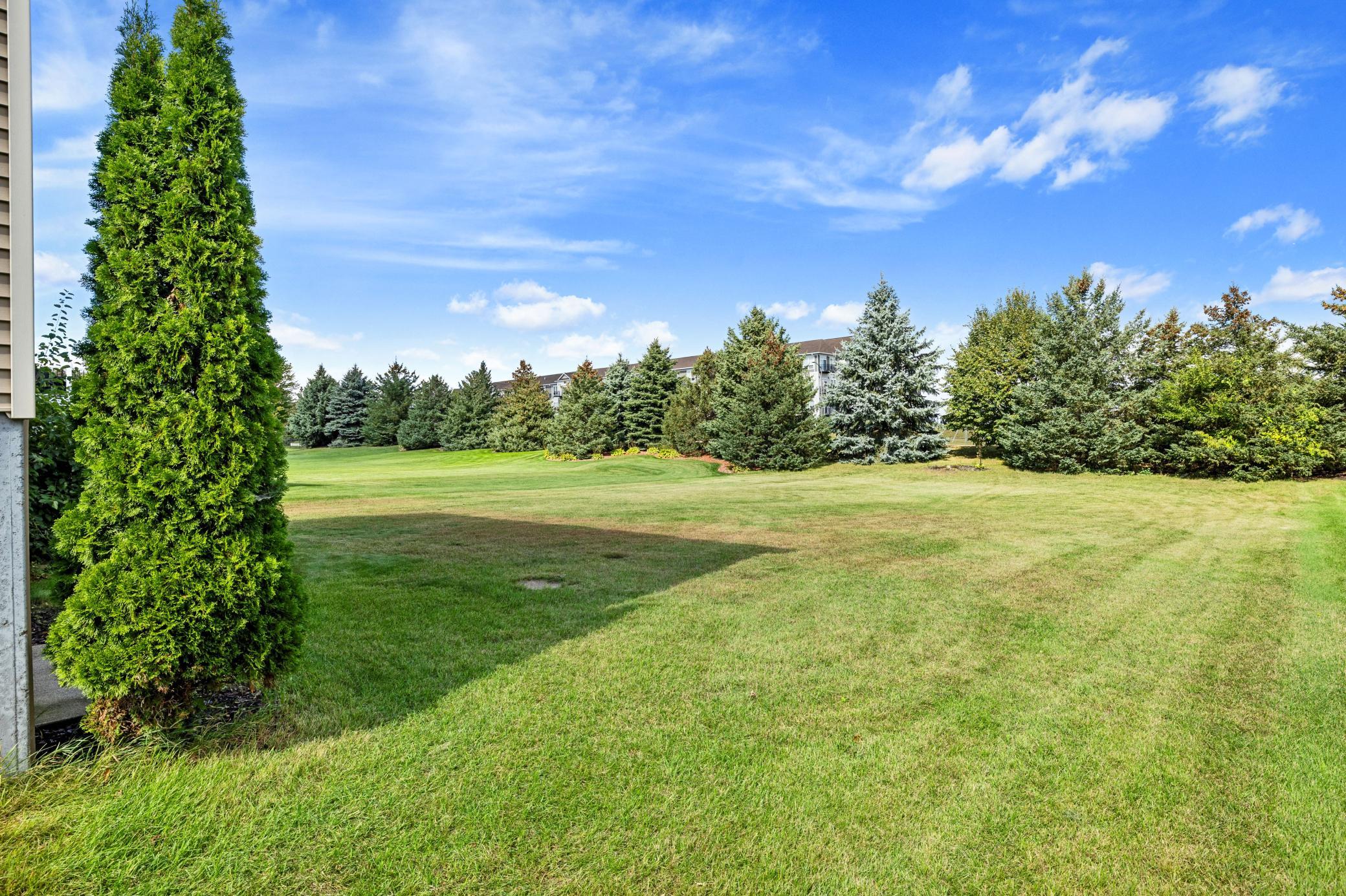 View of Residential at 1096 Danube Avenue, Shakopee MN 55379, Shakopee (4 of 41) - Mike Wilen | Minnesota Team Real Estate
