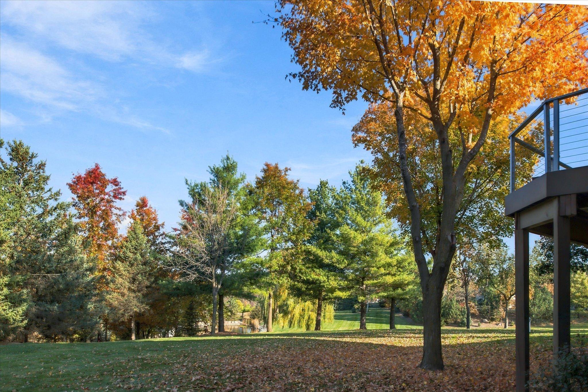 View of Residential at 5668 94th Avenue, Greenfield MN 55357, Greenfield (133 of 139) - Mike Wilen | Minnesota Team Real Estate