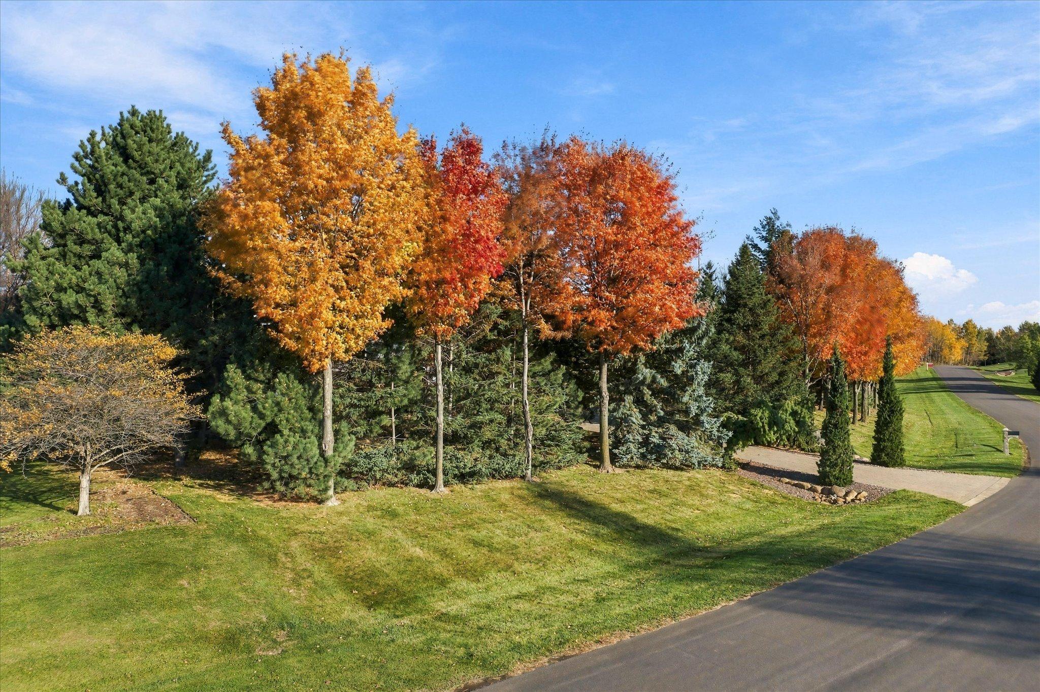 View of Residential at 5668 94th Avenue, Greenfield MN 55357, Greenfield (134 of 139) - Mike Wilen | Minnesota Team Real Estate