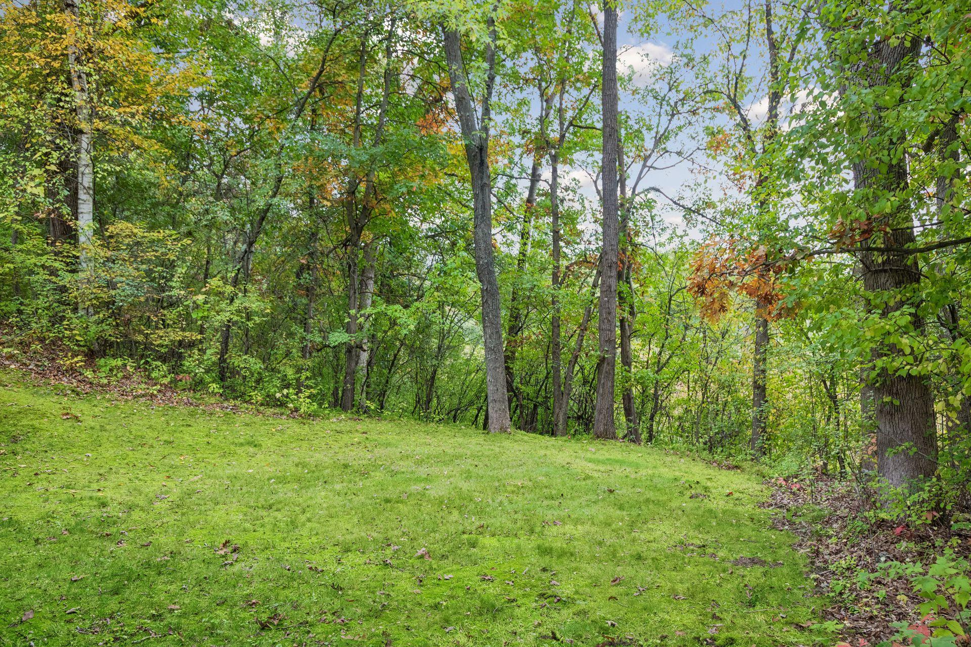 View of Residential at 11650 Dellwood Road, Stillwater MN 55082, Stillwater (53 of 60) - Mike Wilen | Minnesota Team Real Estate