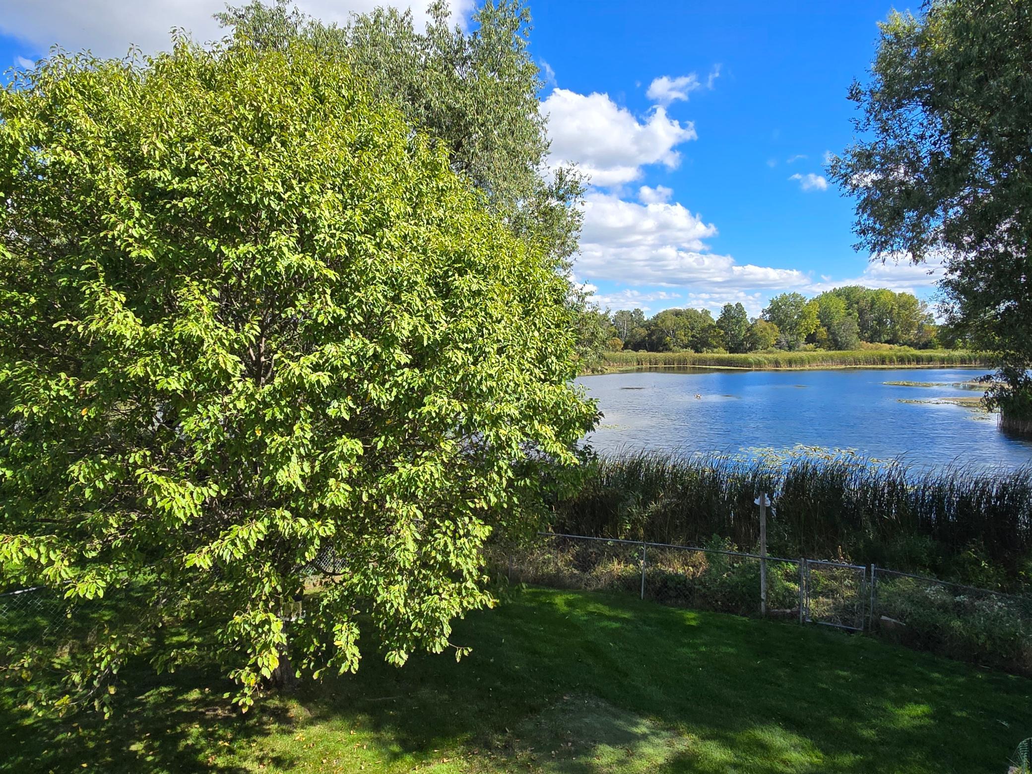 View of Residential at 2960 Rice Creek Parkway, Blaine MN 55449, Blaine (7 of 42) - Mike Wilen | Minnesota Team Real Estate