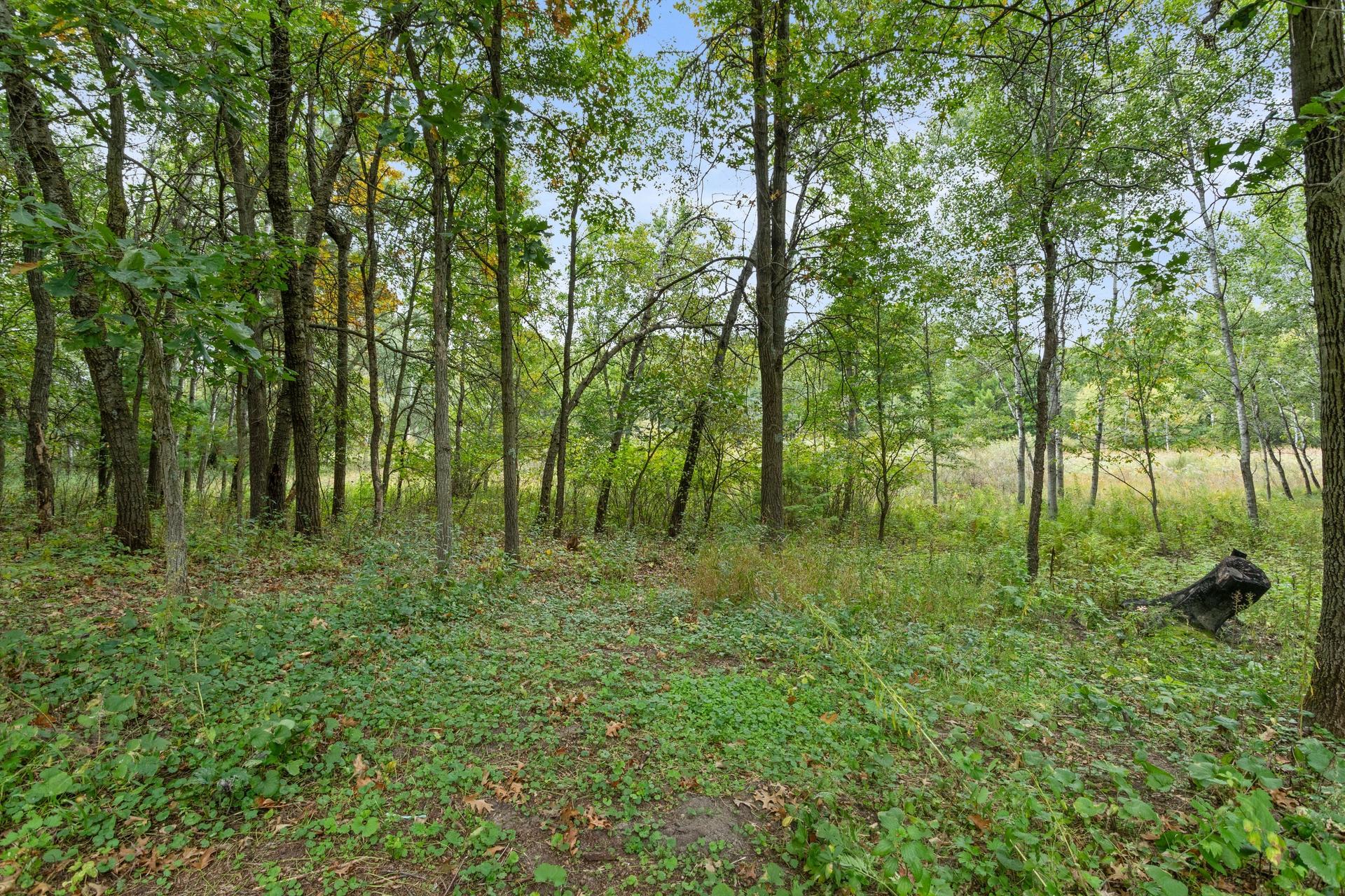 View of Residential at 26620 143rd Street, Zimmerman MN 55398, Zimmerman (30 of 35) - Mike Wilen | Minnesota Team Real Estate