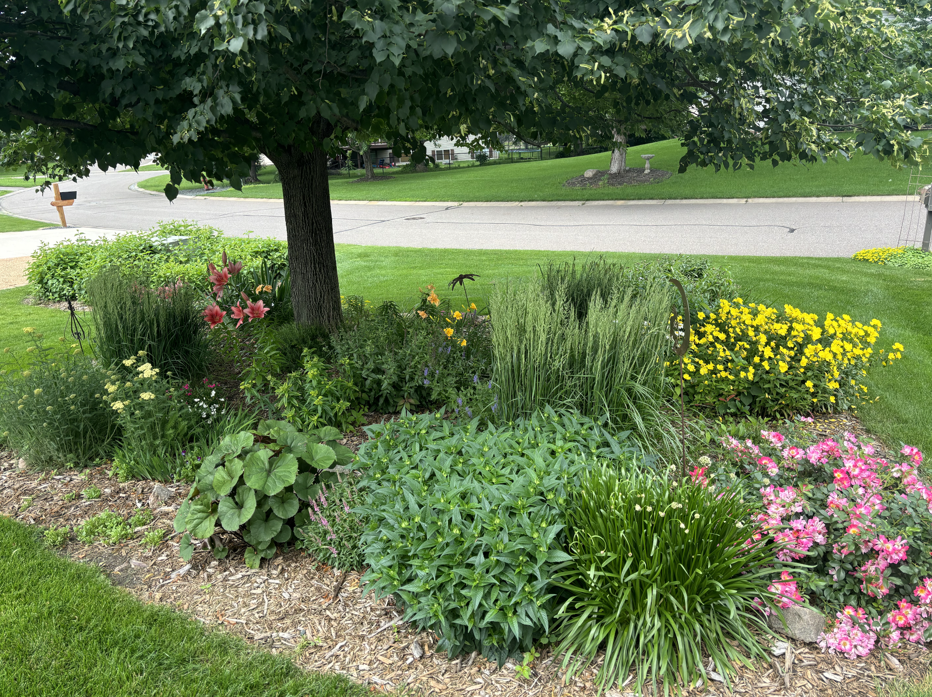 View of Residential at 20390 Pintail Court, Rogers MN 55374, Rogers (70 of 78) - Mike Wilen | Minnesota Team Real Estate