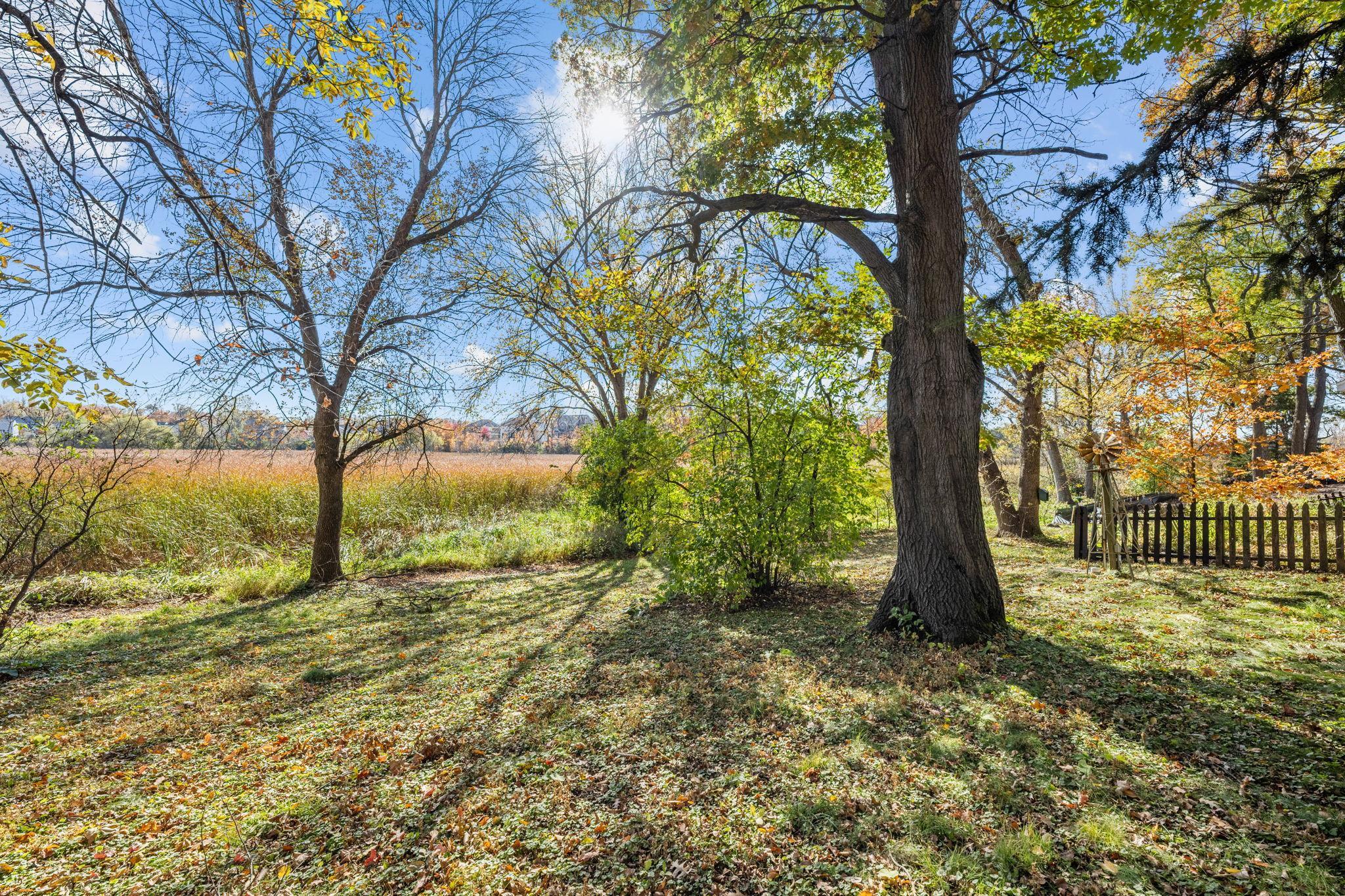 View of Residential at 625 Hackamore Road, Medina MN 55340, Medina (17 of 23) - Mike Wilen | Minnesota Team Real Estate