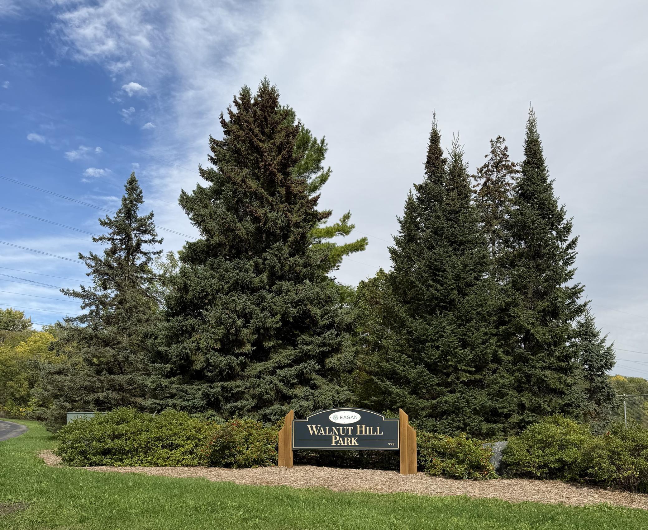 View of Residential at 1142 Parkview Lane, Eagan MN 55123, Eagan (63 of 64) - Mike Wilen | Minnesota Team Real Estate
