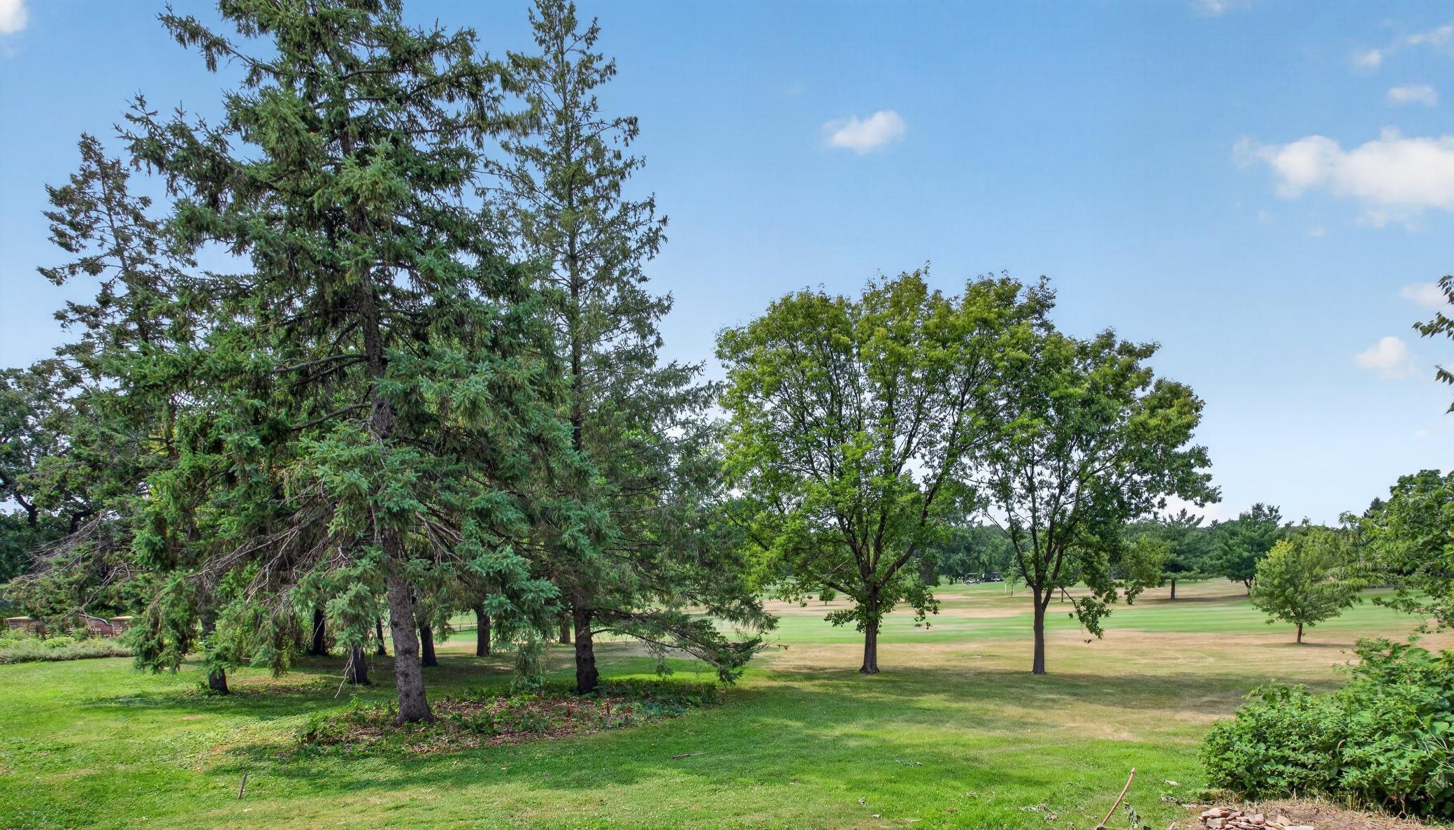 View of Residential at 1100 Montana Avenue, Saint Paul MN 55108, Saint Paul (3 of 42) - Mike Wilen | Minnesota Team Real Estate