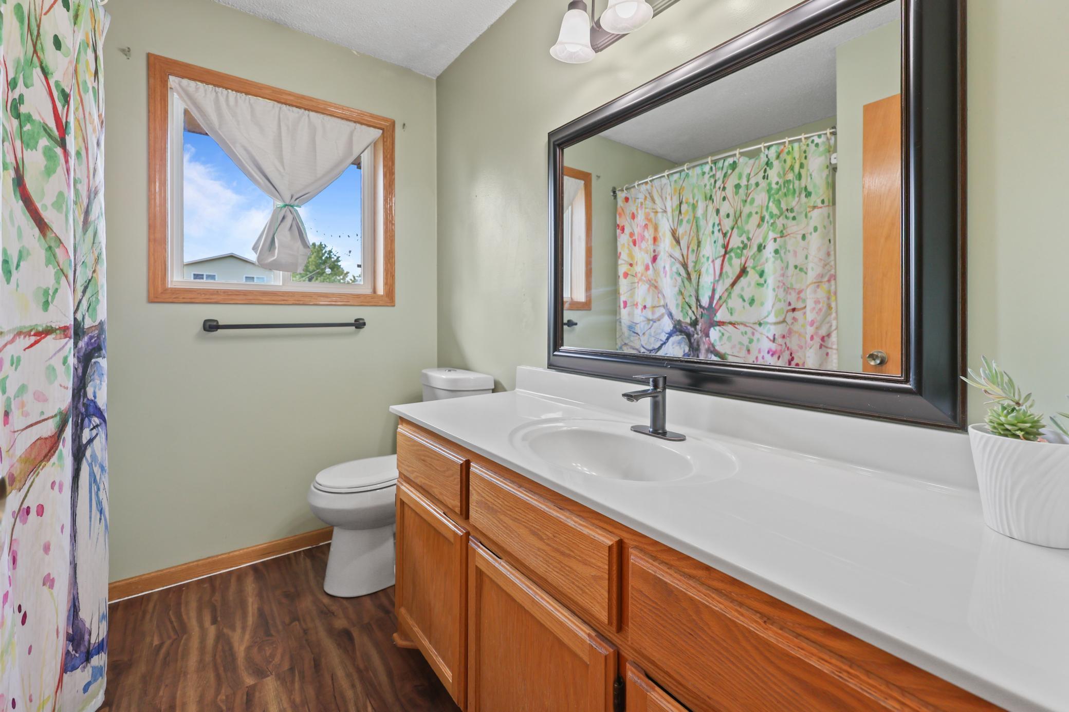 View of Residential at 111 Hill Street, Montrose MN 55363, Montrose (20 of 52) - Mike Wilen | Minnesota Team Real Estate