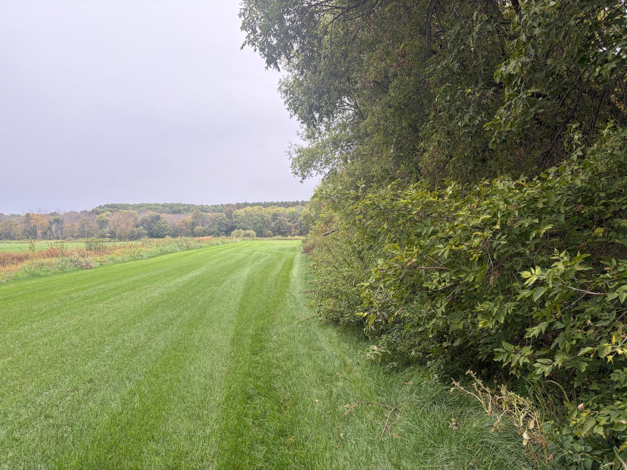 View of Land at TBD County Road 4, Zimmerman MN 55398, Zimmerman (5 of 10) - Mike Wilen | Minnesota Team Real Estate