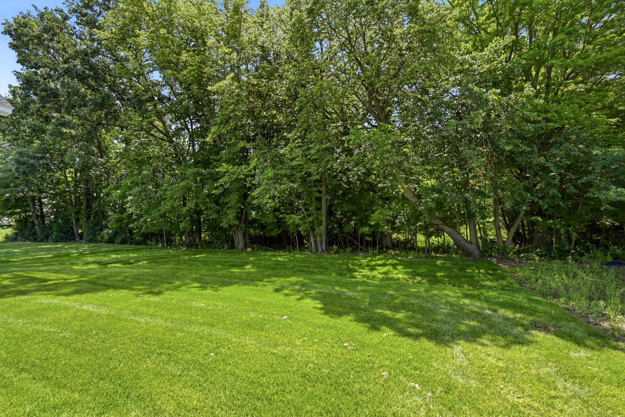 View of Residential at 727 Rosebud Lane, Delano MN 55328, Delano (40 of 41) - Mike Wilen | Minnesota Team Real Estate