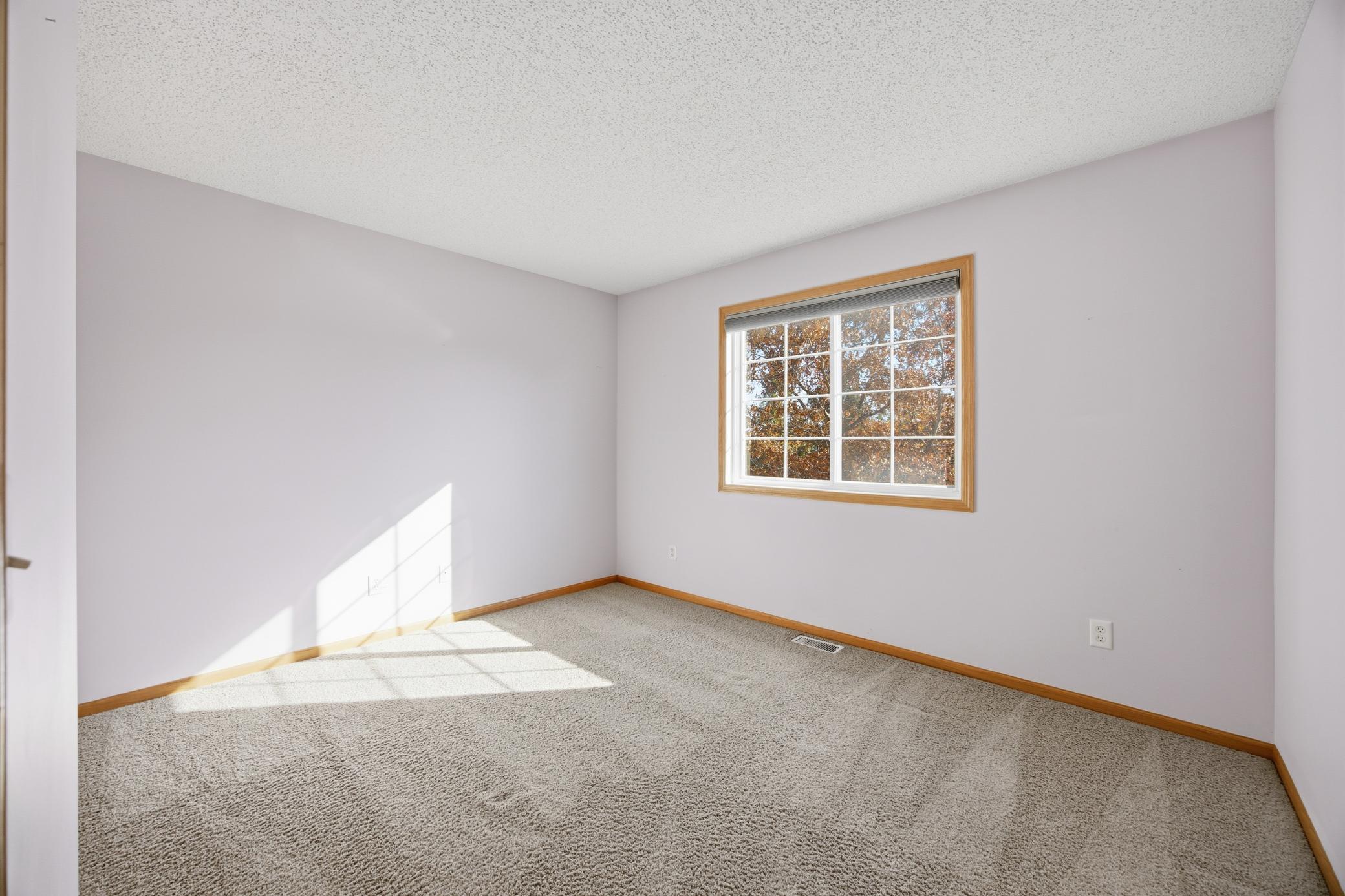 View of Residential at 19609 Escalade Way, Farmington MN 55024, Farmington (22 of 33) - Mike Wilen | Minnesota Team Real Estate