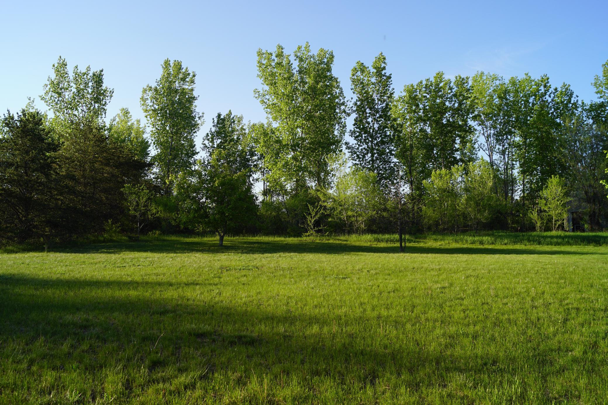 View of Residential at 14318 316th Avenue, Princeton MN 55371, Princeton (32 of 36) - Mike Wilen | Minnesota Team Real Estate