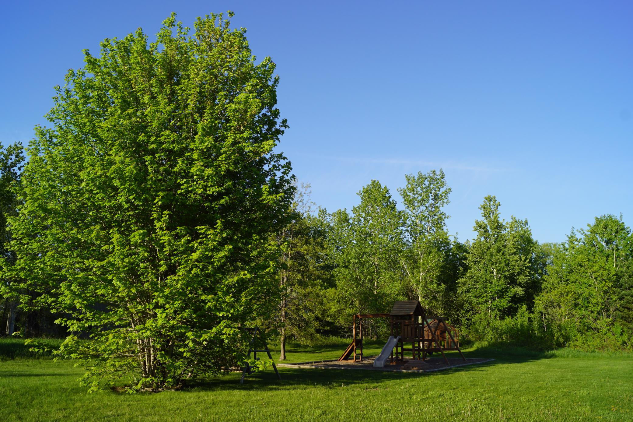 View of Residential at 14318 316th Avenue, Princeton MN 55371, Princeton (30 of 36) - Mike Wilen | Minnesota Team Real Estate