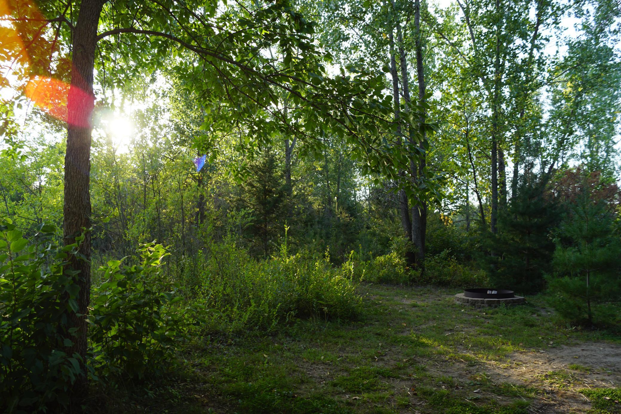 View of Residential at 14318 316th Avenue, Princeton MN 55371, Princeton (25 of 36) - Mike Wilen | Minnesota Team Real Estate