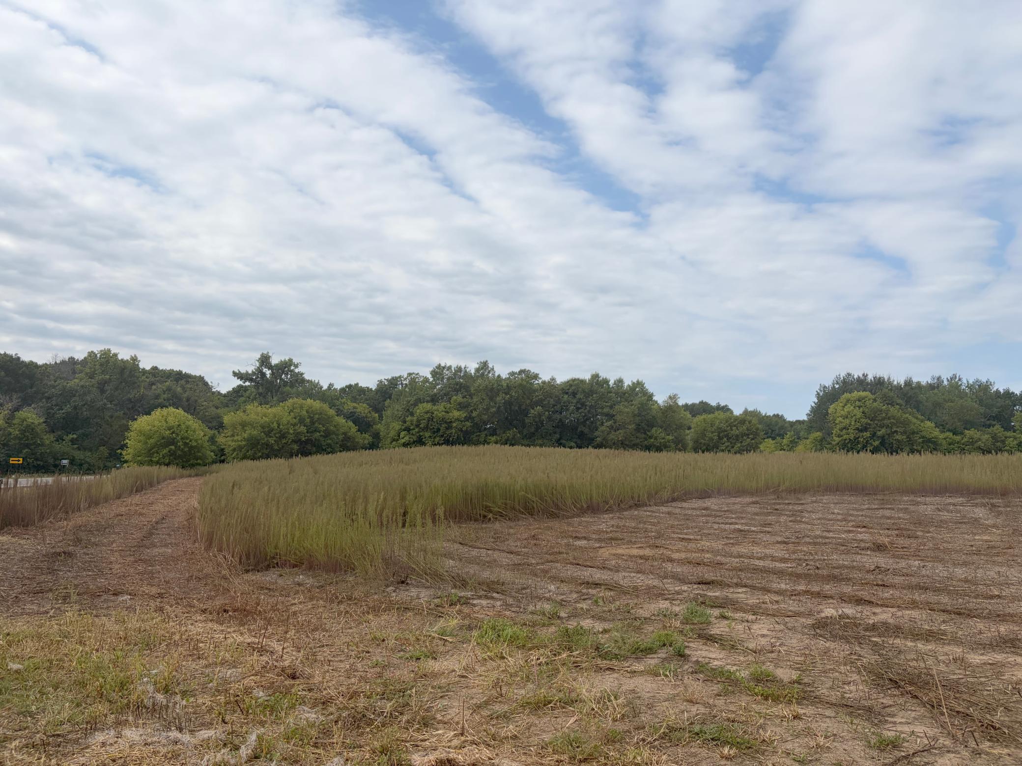View of Residential Lot at TBD (L1-SM East) 269th Avenue, Isanti - Mike Wilen | Minnesota Team Real Estate