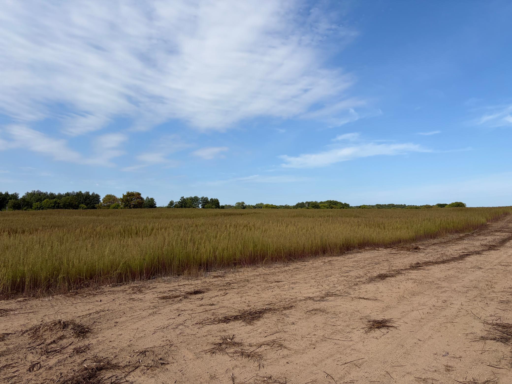 View of Land at TBD (L2-SM East) Yellowpine Court, Isanti MN 55040, Isanti (2 of 19) - Mike Wilen | Minnesota Team Real Estate