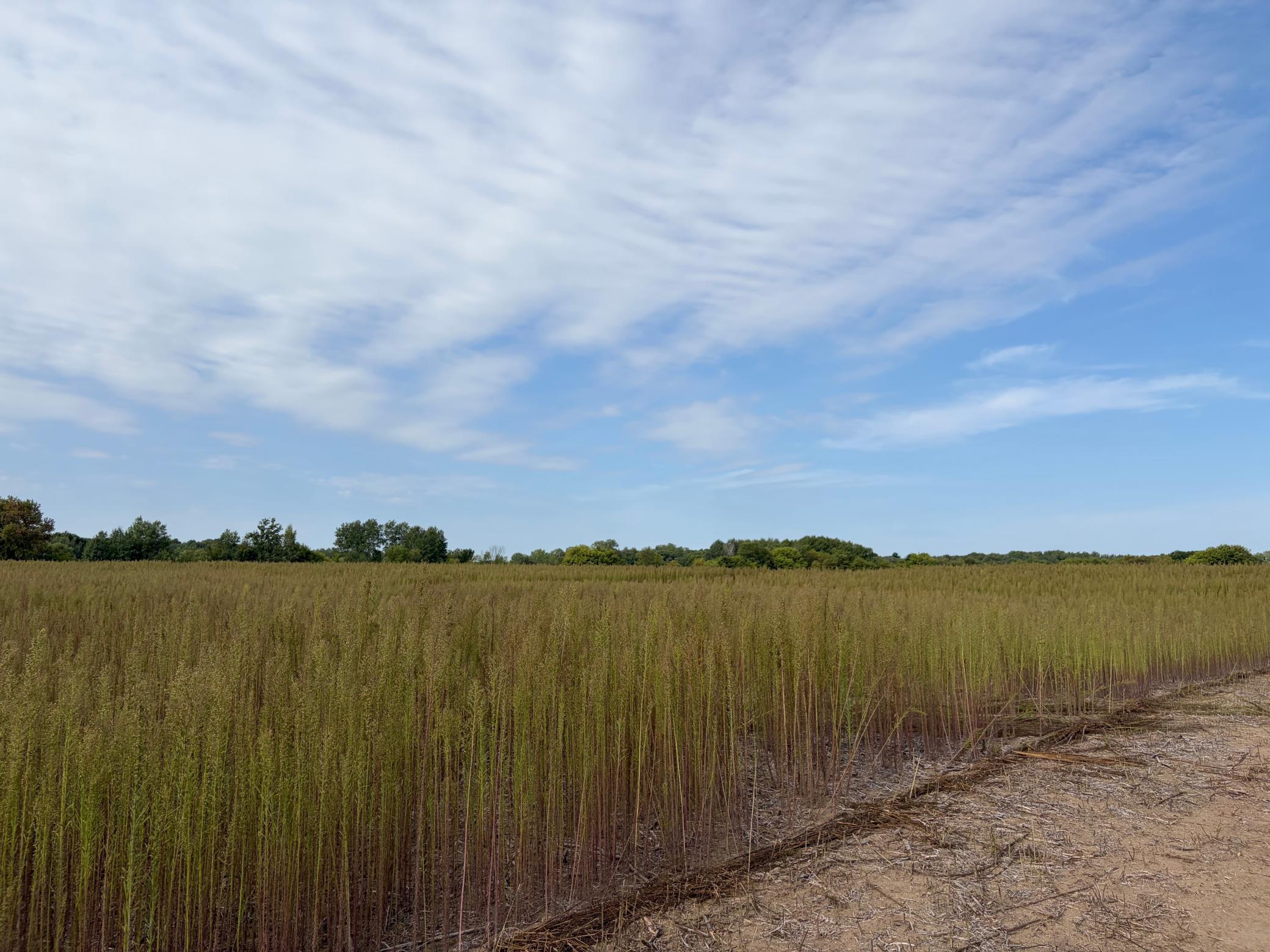View of Land at TBD (L4-SM East) Yellowpine Court, Isanti MN 55040, Isanti (2 of 19) - Mike Wilen | Minnesota Team Real Estate
