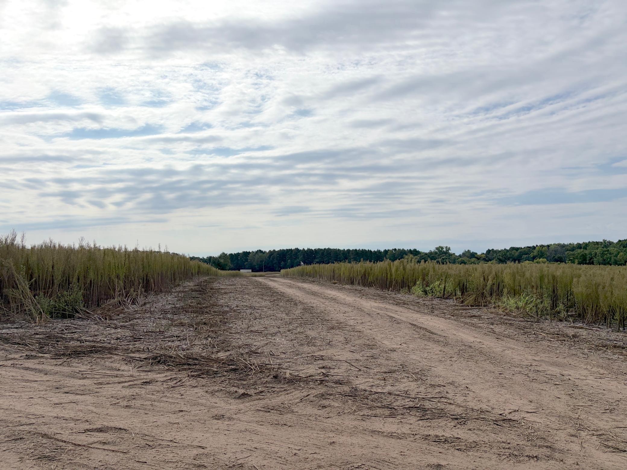 View of Land at TBD (L5-SM East) Yellowpine Court, Isanti MN 55040, Isanti (4 of 21) - Mike Wilen | Minnesota Team Real Estate