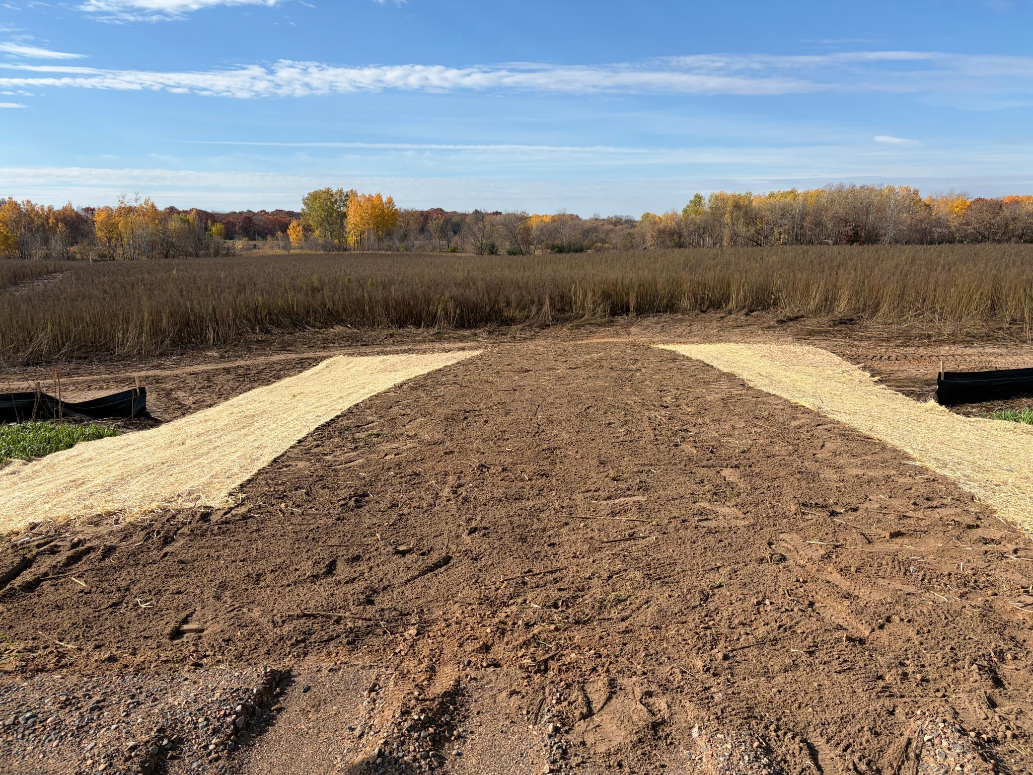View of Land at TBD (L5-SM East) Yellowpine Court, Isanti MN 55040, Isanti (2 of 21) - Mike Wilen | Minnesota Team Real Estate