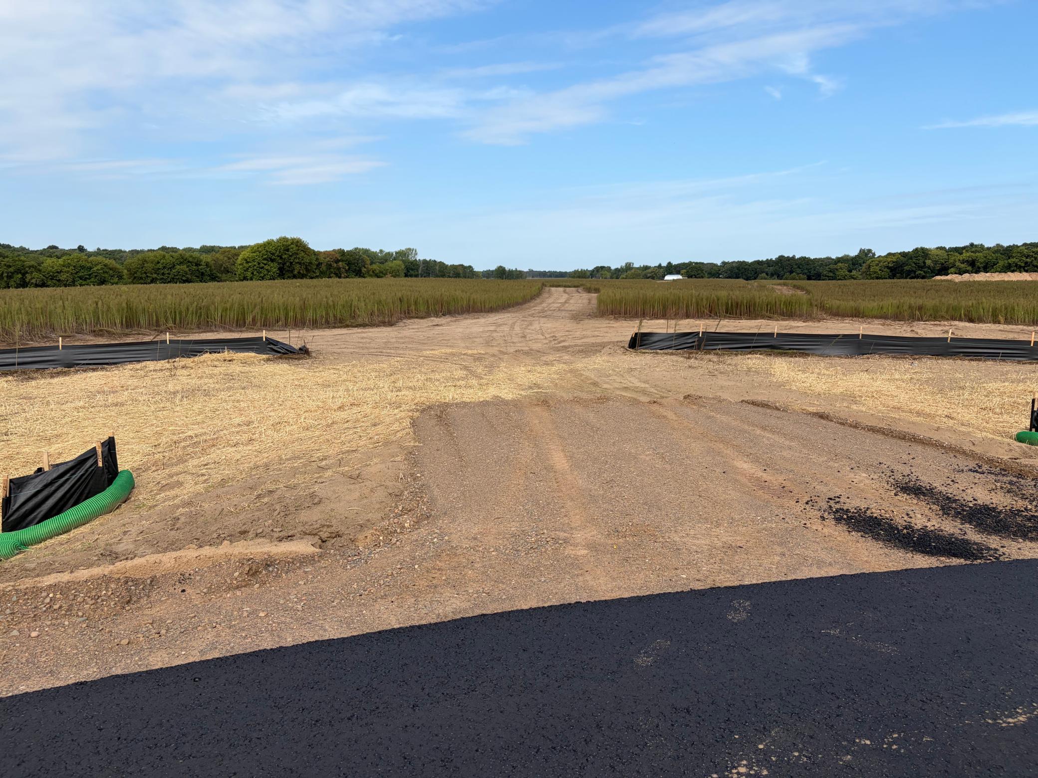 View of Land at TBD (L6-SM East) Yellowpine Court, Isanti MN 55040, Isanti (5 of 22) - Mike Wilen | Minnesota Team Real Estate