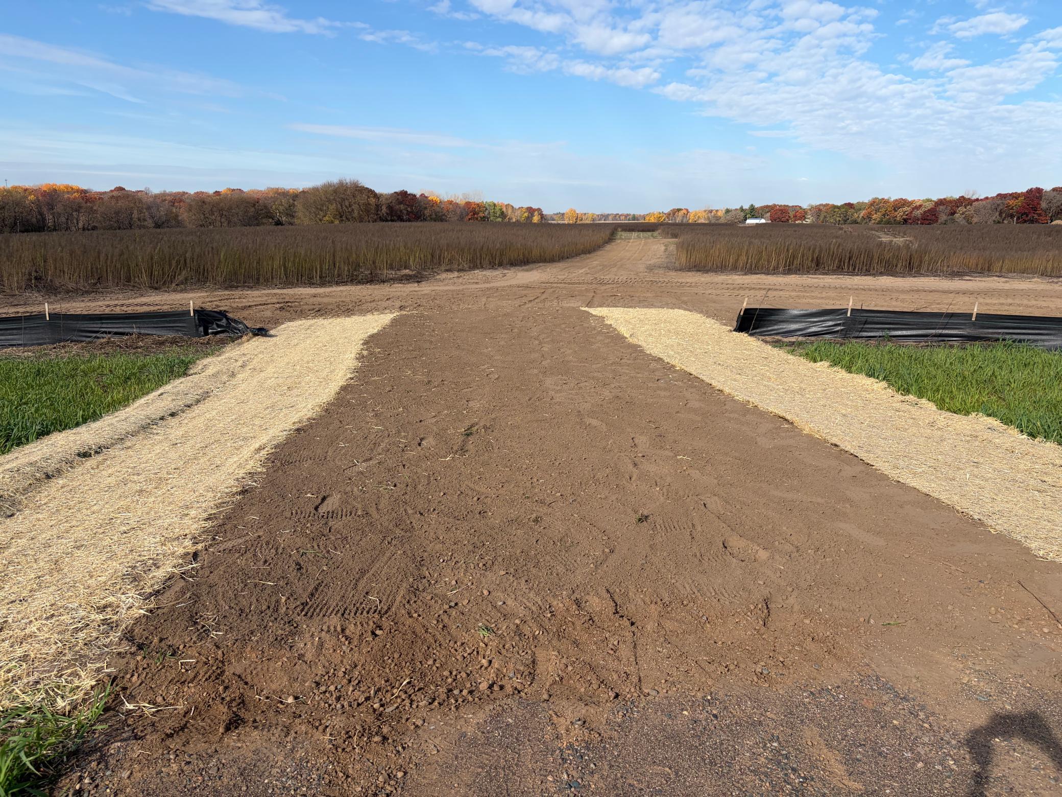 View of Land at TBD (L6-SM East) Yellowpine Court, Isanti MN 55040, Isanti (2 of 22) - Mike Wilen | Minnesota Team Real Estate