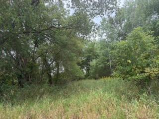 View of Land at TBD (L7-SM East) Flamingo Street, Isanti MN 55040, Isanti (4 of 22) - Mike Wilen | Minnesota Team Real Estate