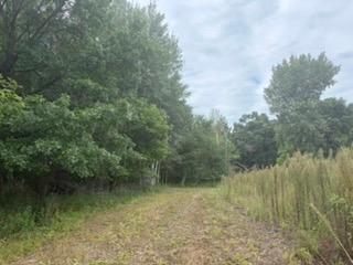 View of Land at TBD (L7-SM East) Flamingo Street, Isanti MN 55040, Isanti (3 of 22) - Mike Wilen | Minnesota Team Real Estate