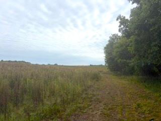 View of Land at TBD (L7-SM East) Flamingo Street, Isanti MN 55040, Isanti (2 of 22) - Mike Wilen | Minnesota Team Real Estate