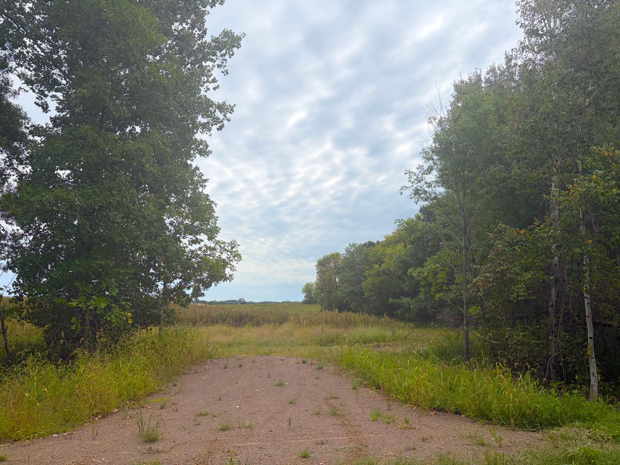 View of Residential Lot at TBD (L7-SM East) Flamingo Street, Isanti - Mike Wilen | Minnesota Team Real Estate