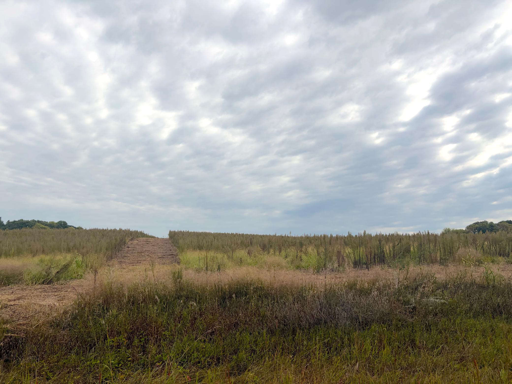 View of Land at TBD (L8-SM East) Flamingo Street, Isanti MN 55040, Isanti (4 of 21) - Mike Wilen | Minnesota Team Real Estate