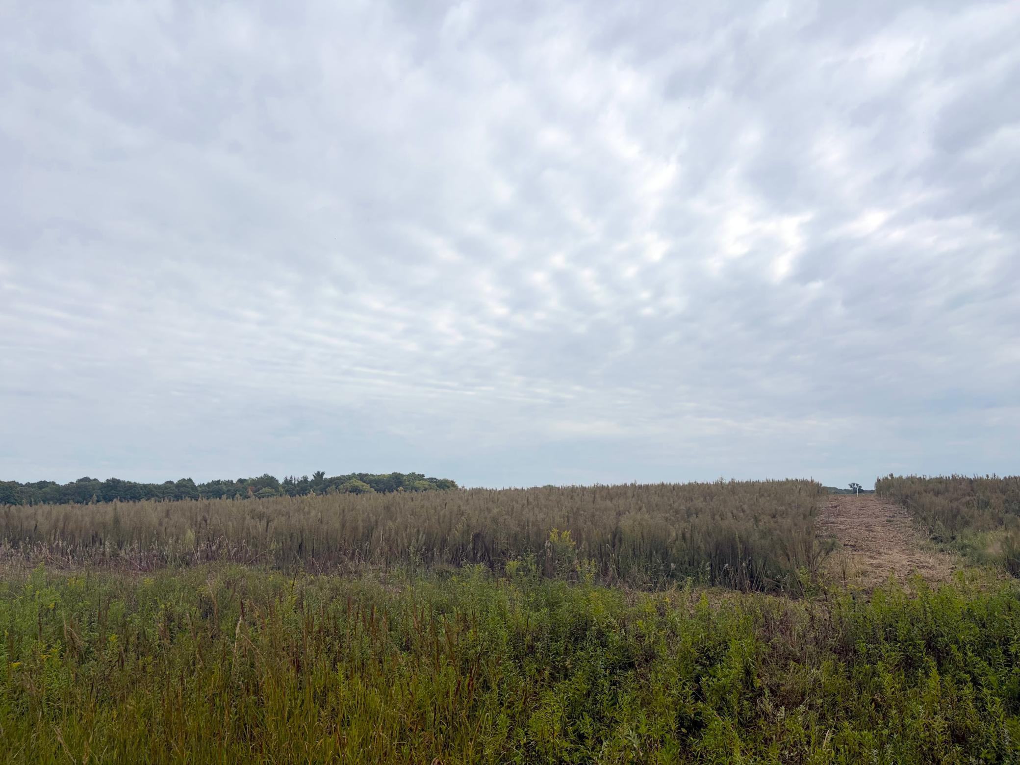 View of Land at TBD (L8-SM East) Flamingo Street, Isanti MN 55040, Isanti (3 of 21) - Mike Wilen | Minnesota Team Real Estate
