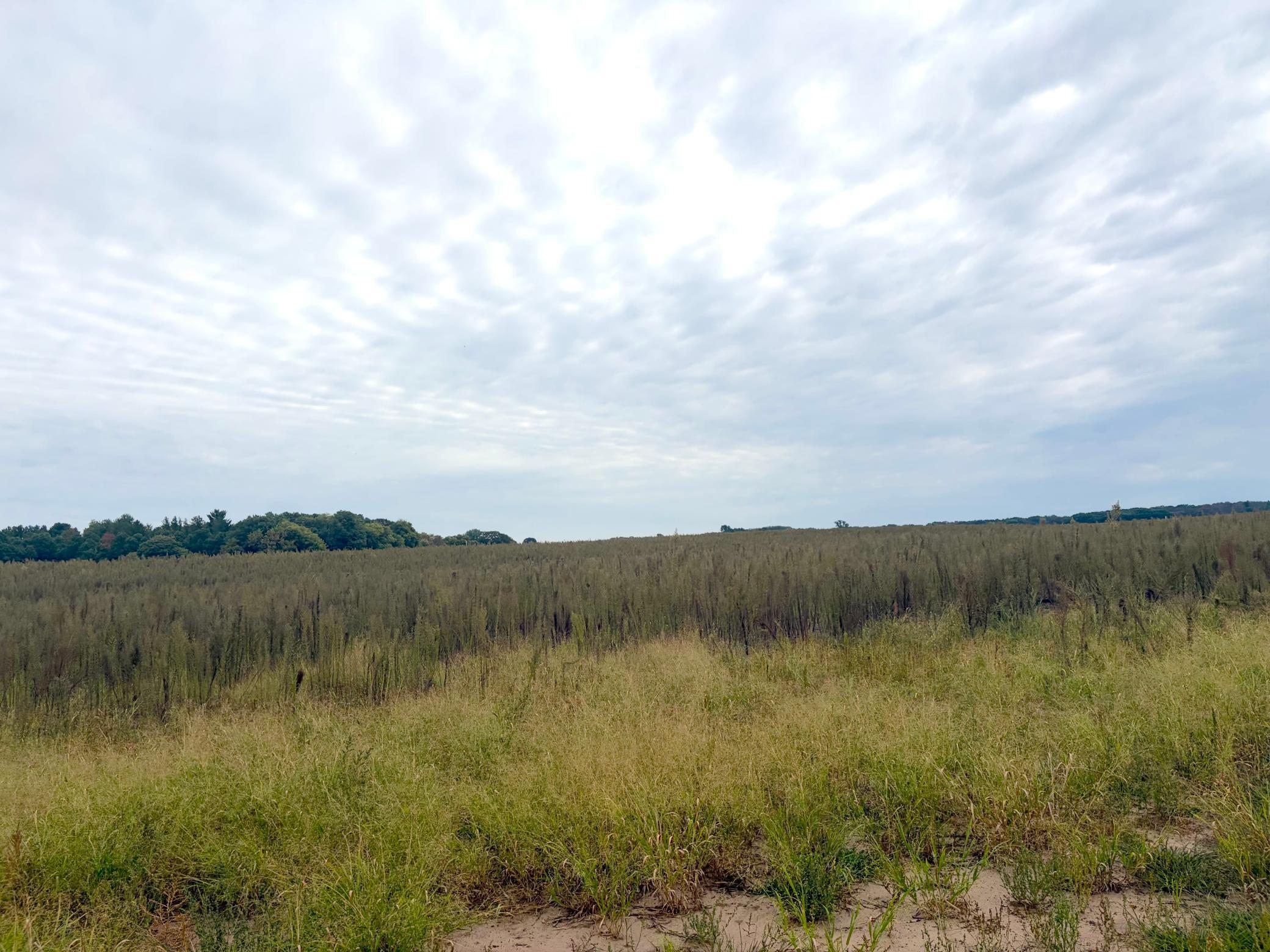 View of Land at TBD (L8-SM East) Flamingo Street, Isanti MN 55040, Isanti (2 of 21) - Mike Wilen | Minnesota Team Real Estate
