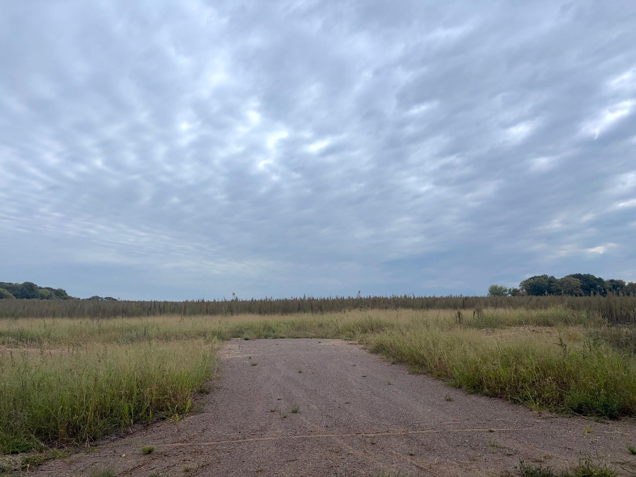 View of Residential Lot at TBD (L8-SM East) Flamingo Street, Isanti - Mike Wilen | Minnesota Team Real Estate