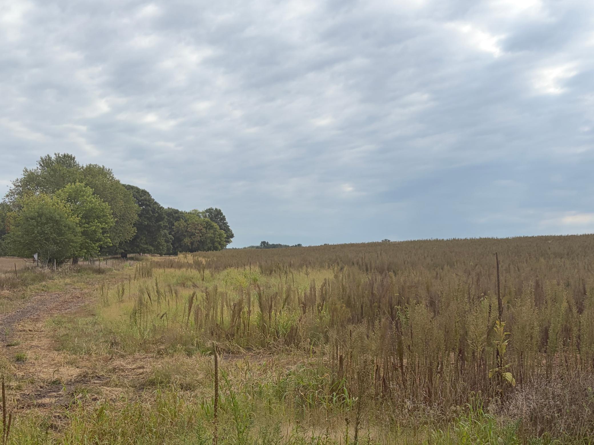 View of Land at TBD (L9-SM East) Flamingo Street, Isanti MN 55040, Isanti (4 of 21) - Mike Wilen | Minnesota Team Real Estate