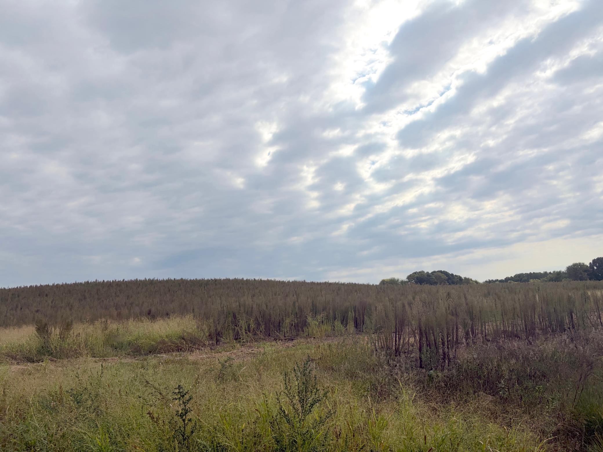 View of Land at TBD (L9-SM East) Flamingo Street, Isanti MN 55040, Isanti (2 of 21) - Mike Wilen | Minnesota Team Real Estate