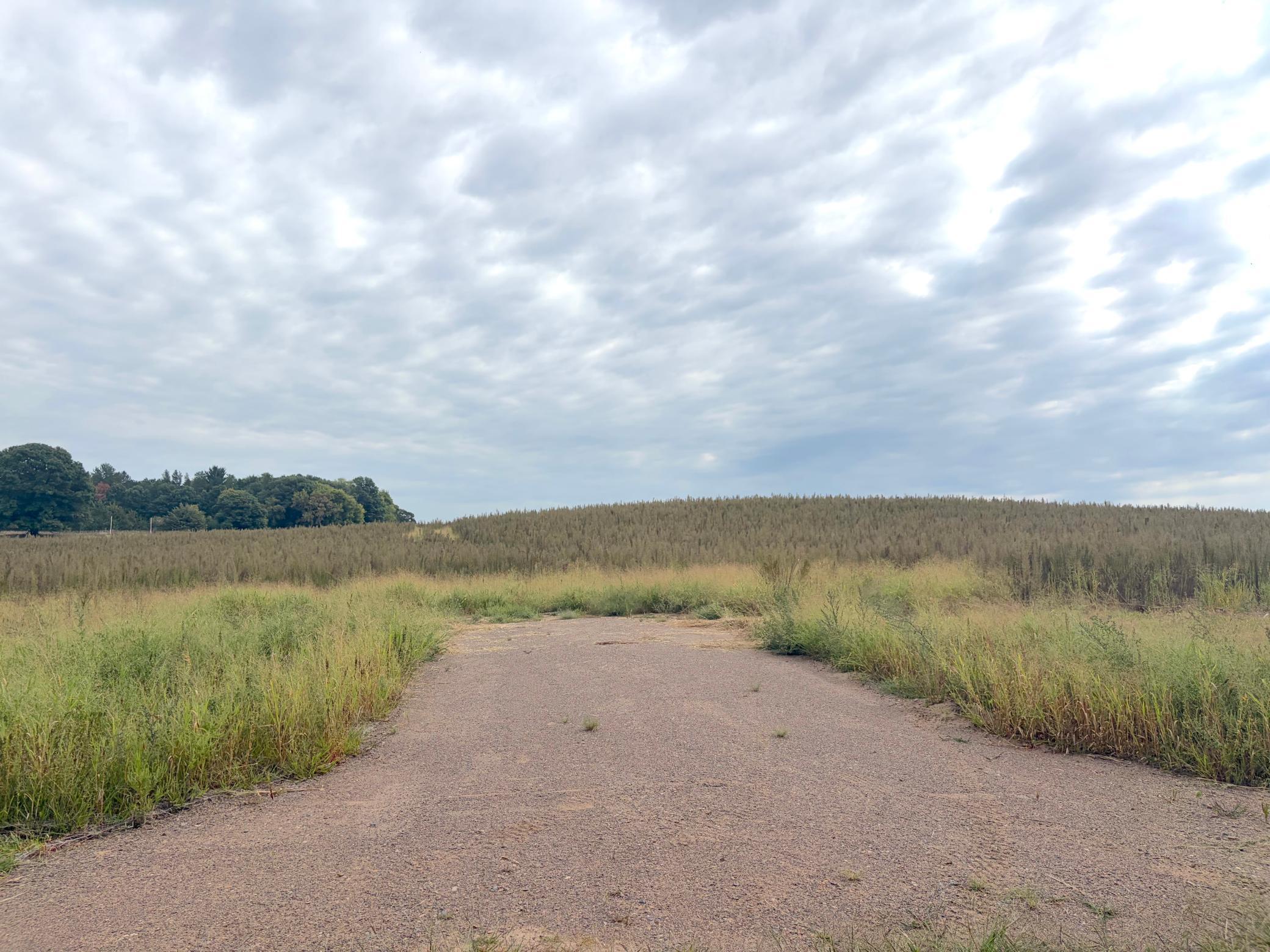View of Residential Lot at TBD (L9-SM East) Flamingo Street, Isanti - Mike Wilen | Minnesota Team Real Estate