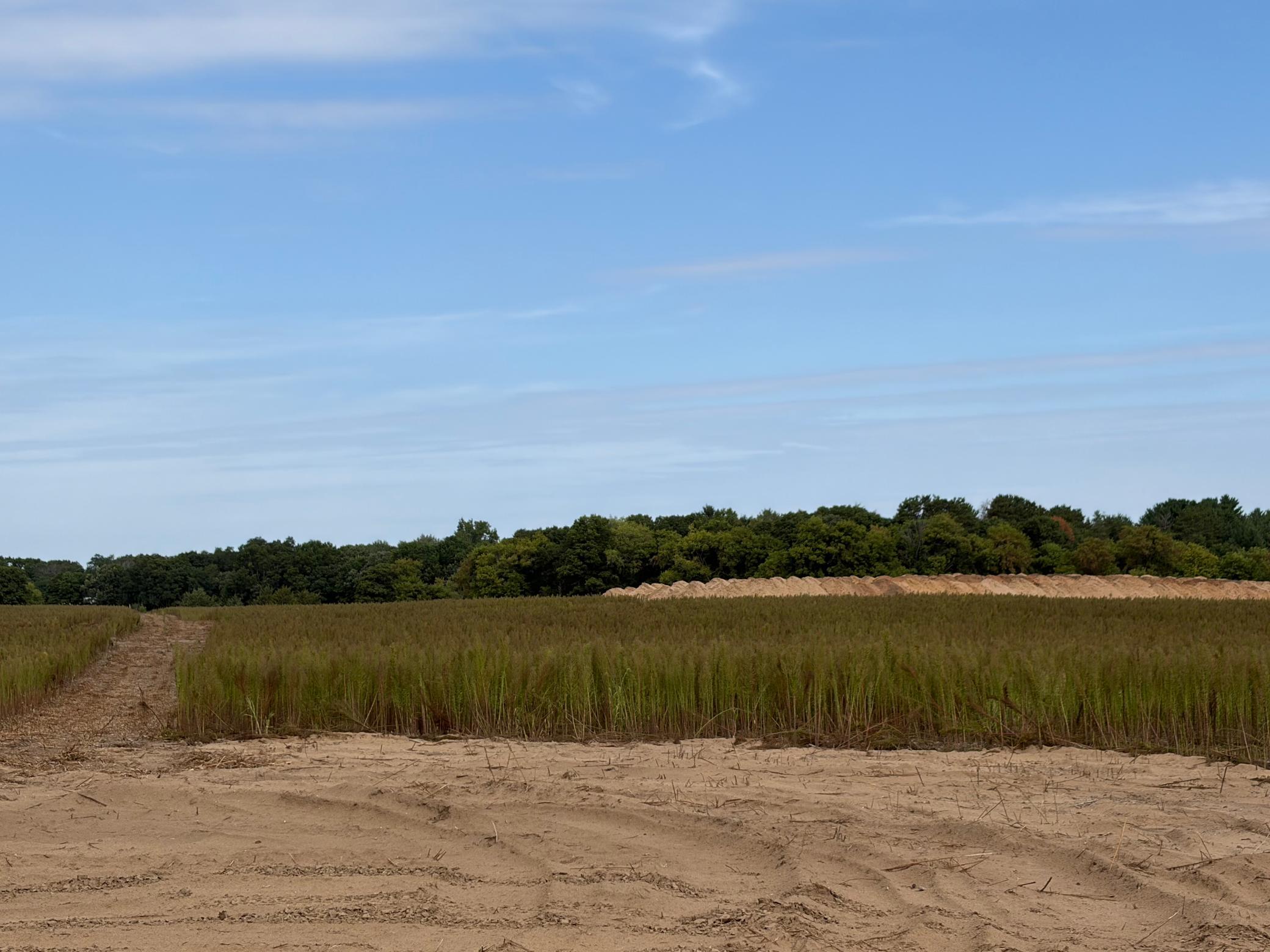 View of Land at TBD (L10-SM East) Yellowpine Court, Isanti MN 55040, Isanti (3 of 21) - Mike Wilen | Minnesota Team Real Estate