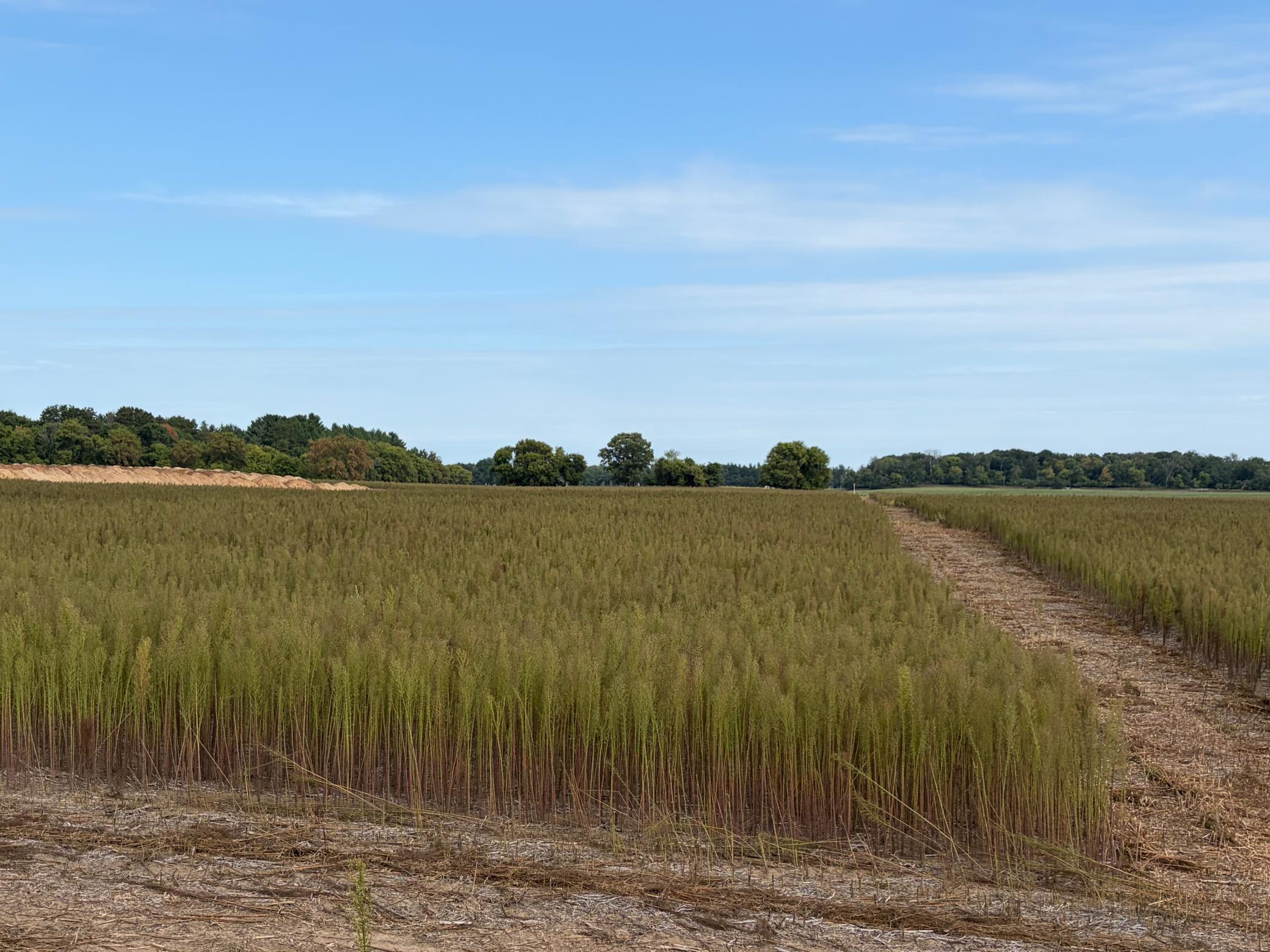 View of Land at TBD (L10-SM East) Yellowpine Court, Isanti MN 55040, Isanti (2 of 21) - Mike Wilen | Minnesota Team Real Estate