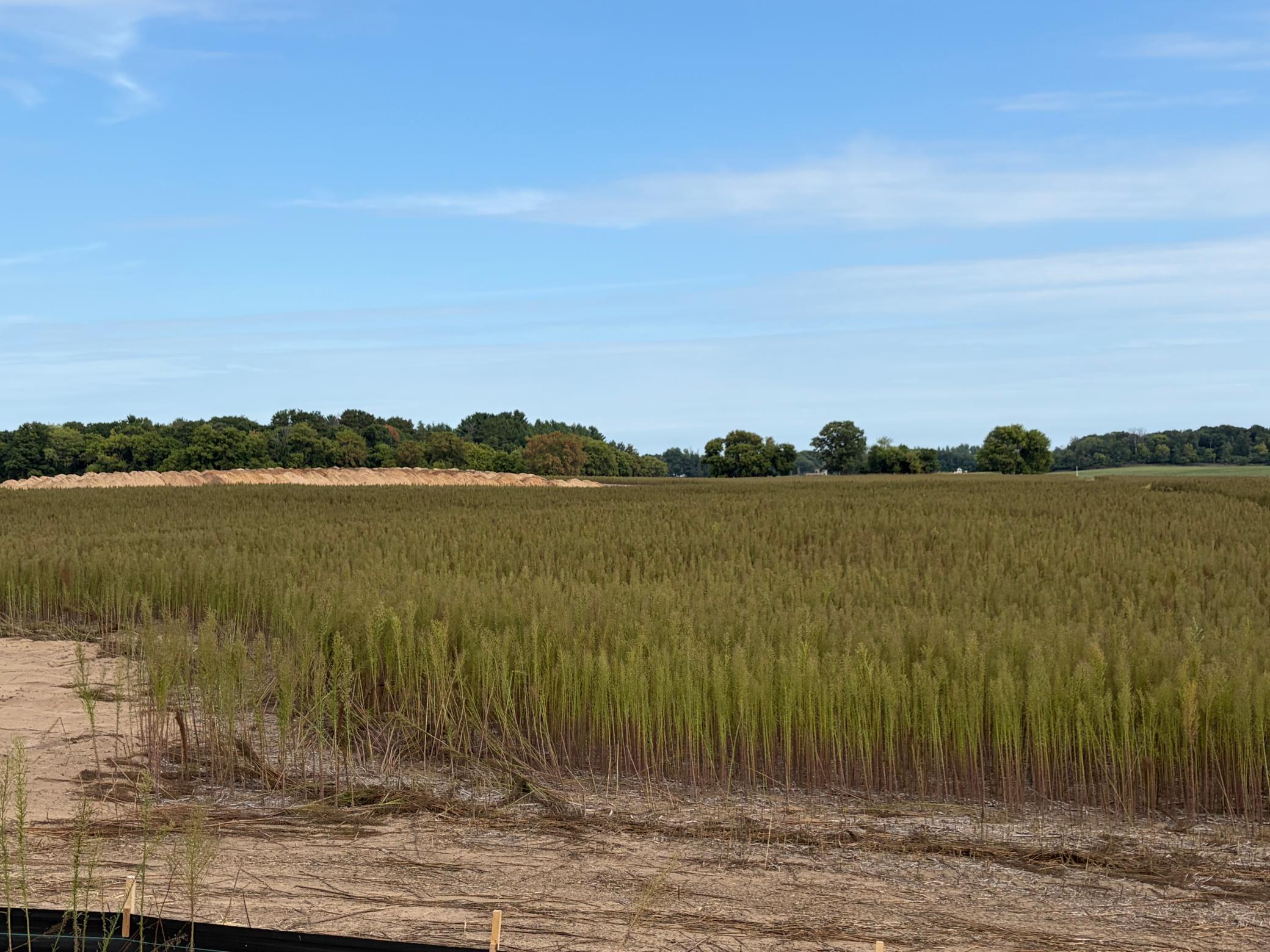 View of Residential Lot at TBD (L10-SM East) Yellowpine Court, Isanti - Mike Wilen | Minnesota Team Real Estate