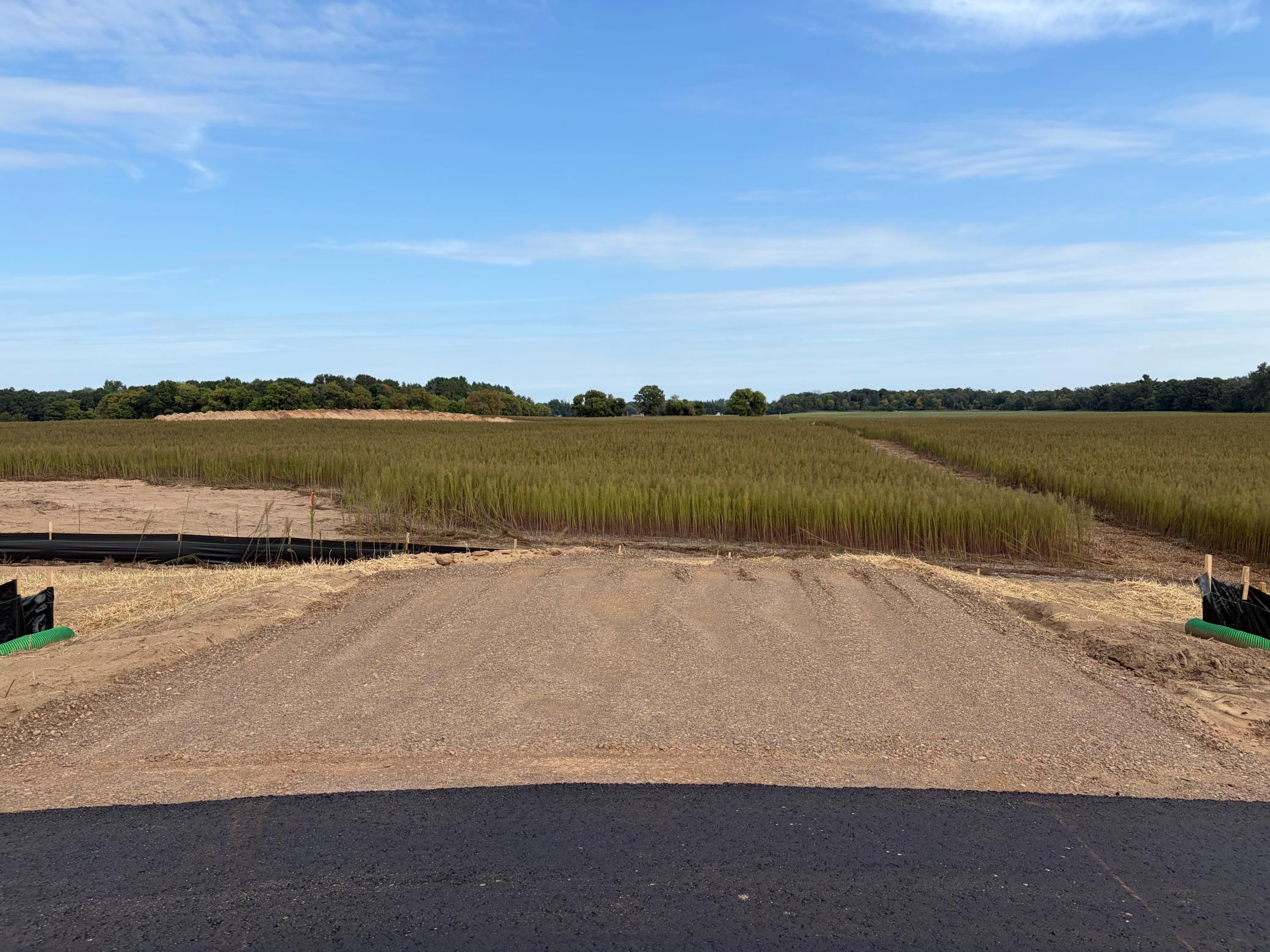 View of Land at TBD (L10-SM East) Yellowpine Court, Isanti MN 55040, Isanti (4 of 21) - Mike Wilen | Minnesota Team Real Estate
