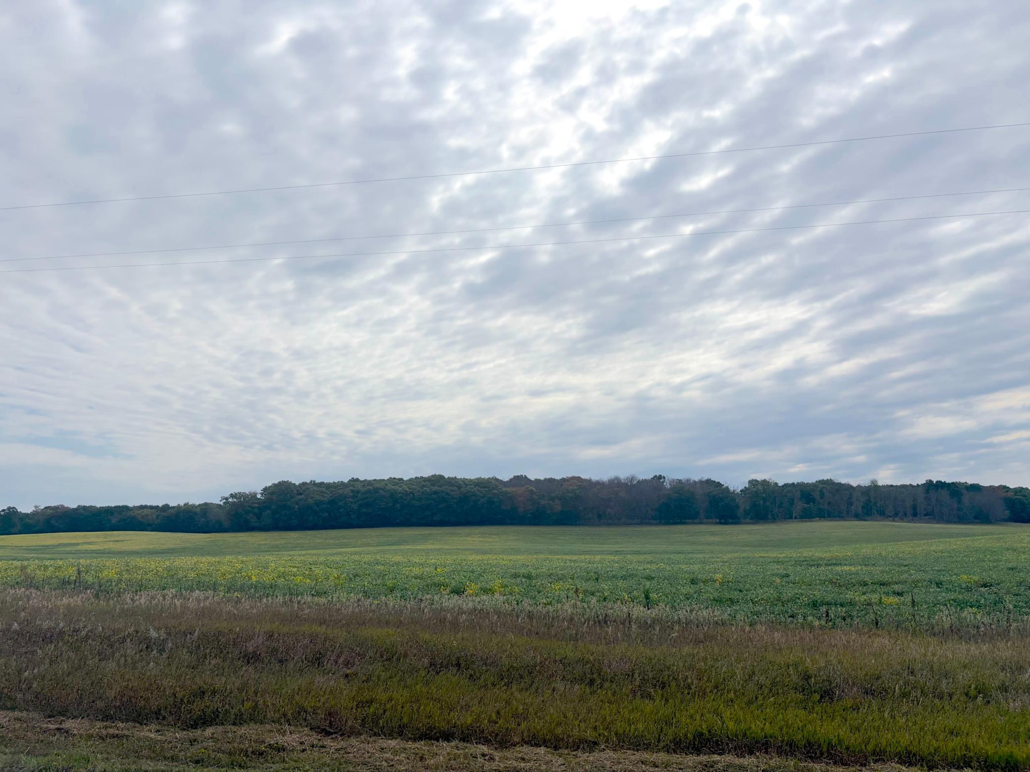 View of Land at TBD (L11-SM East) Yellowpine Court, Isanti MN 55040, Isanti (21 of 21) - Mike Wilen | Minnesota Team Real Estate