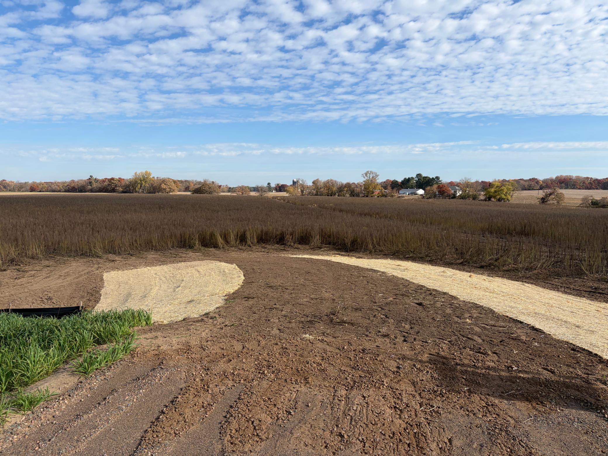 View of Land at TBD (L11-SM East) Yellowpine Court, Isanti MN 55040, Isanti (2 of 21) - Mike Wilen | Minnesota Team Real Estate