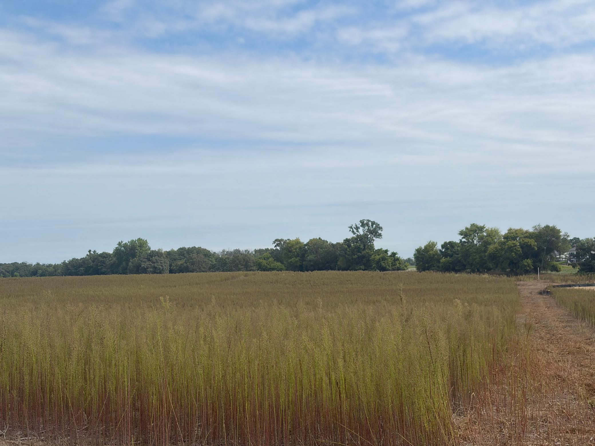 View of Land at TBD (L13-SM East) Yellowpine Court, Isanti MN 55040, Isanti (3 of 21) - Mike Wilen | Minnesota Team Real Estate