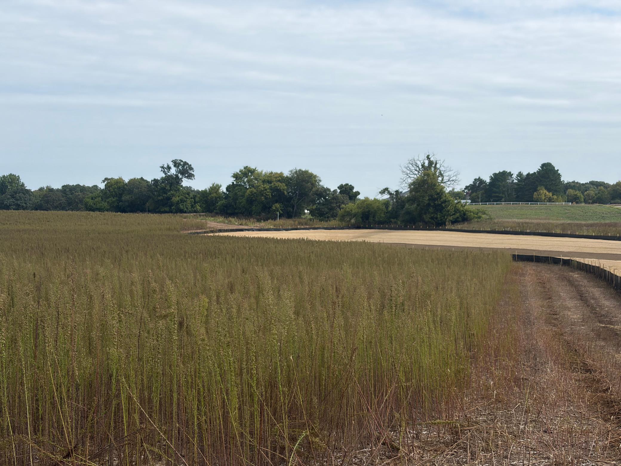 View of Land at TBD (L14-SM East) Yellowpine Court, Isanti MN 55040, Isanti (6 of 24) - Mike Wilen | Minnesota Team Real Estate