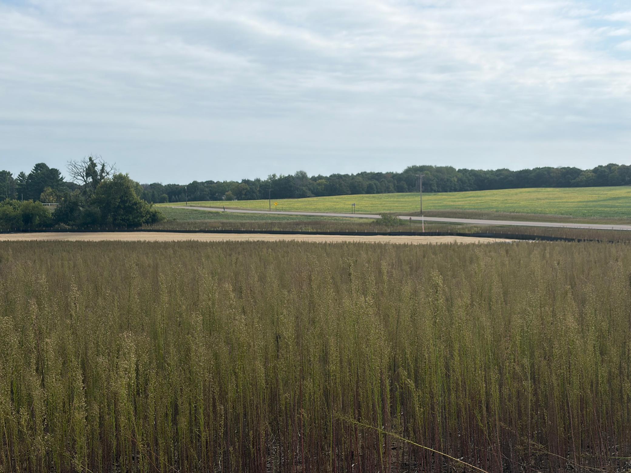 View of Land at TBD (L14-SM East) Yellowpine Court, Isanti MN 55040, Isanti (4 of 24) - Mike Wilen | Minnesota Team Real Estate