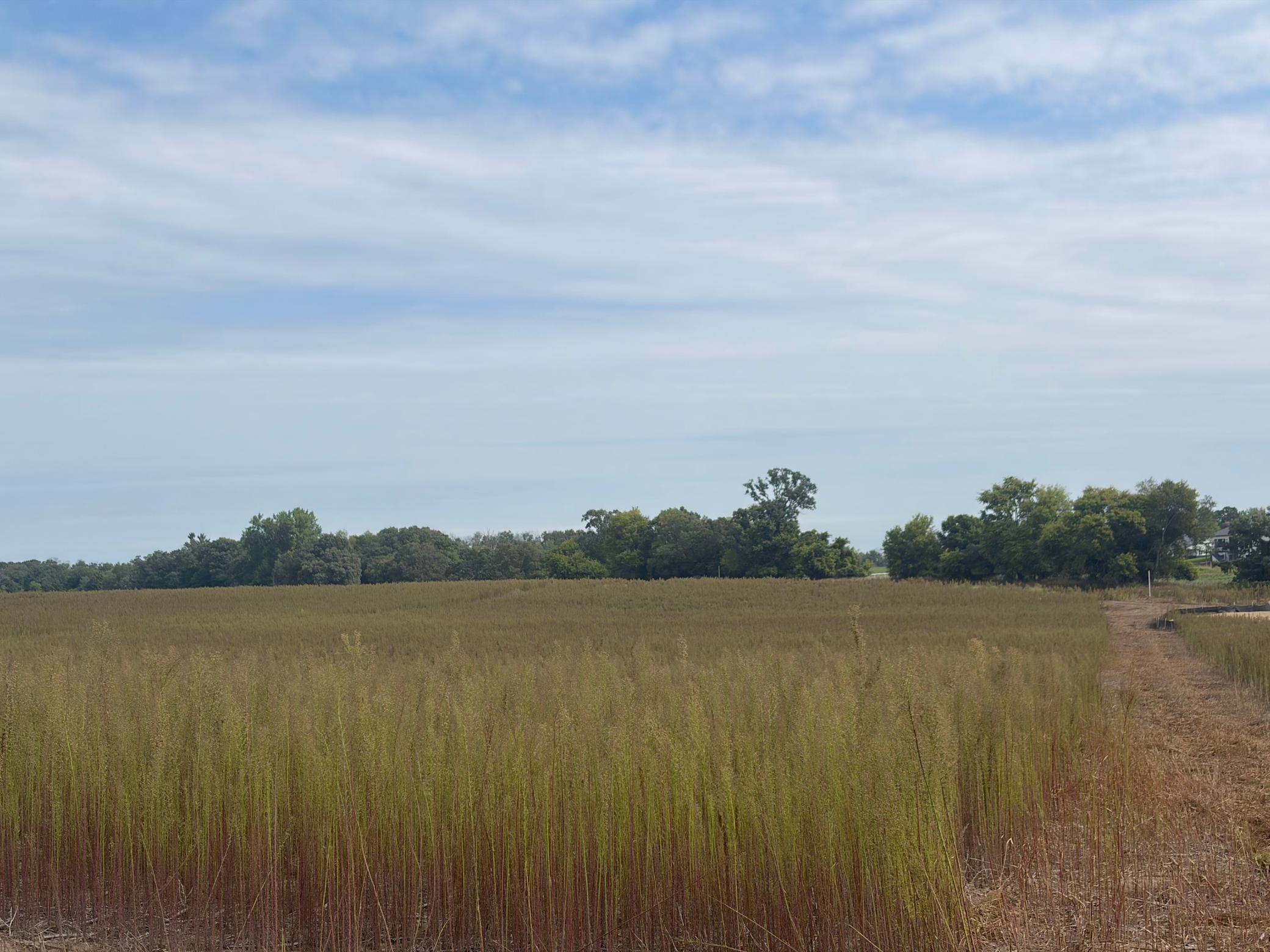 View of Land at TBD (L14-SM East) Yellowpine Court, Isanti MN 55040, Isanti (2 of 24) - Mike Wilen | Minnesota Team Real Estate
